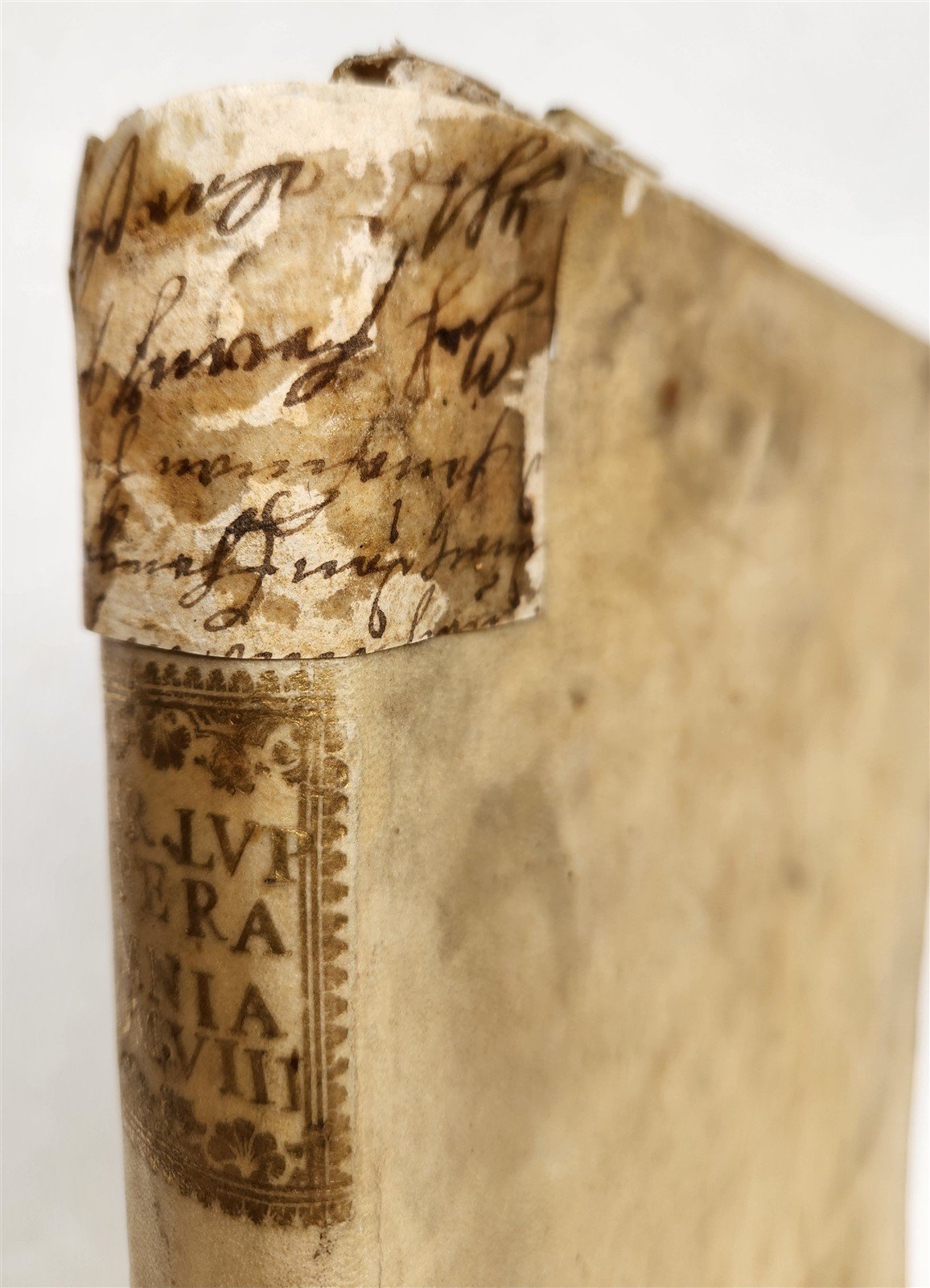1727 VELLUM BOUND ANTIQUE FOLIO DIVINUM AC IMMOBILE SANCTI PETRI C. LUPUM VENICE