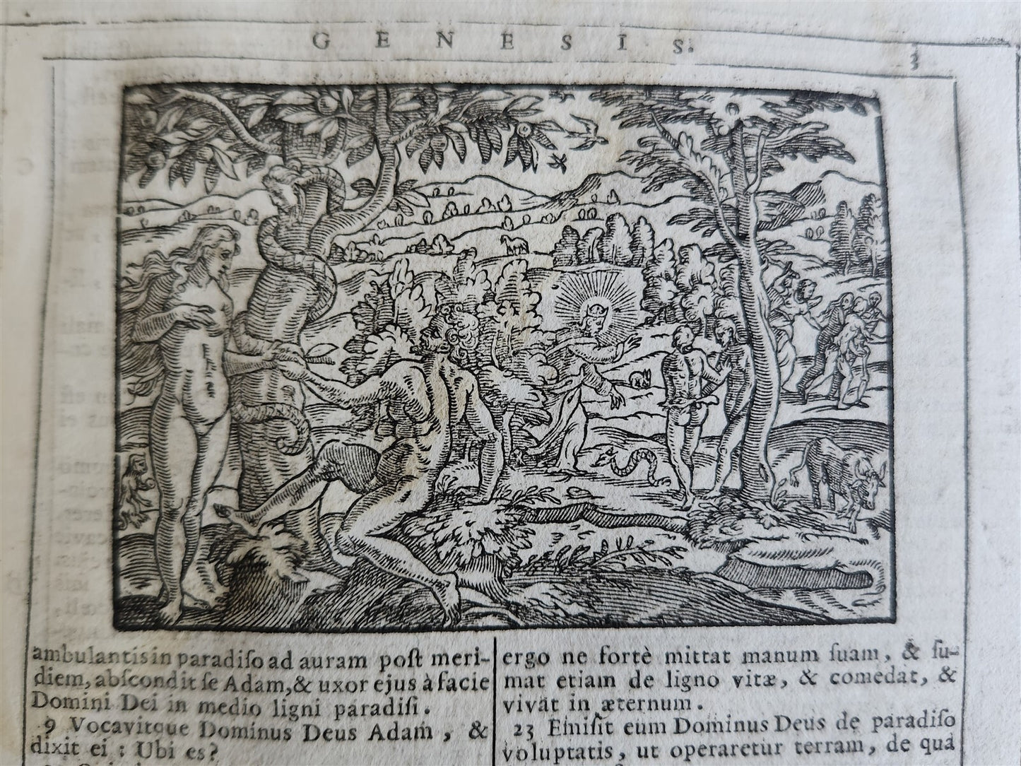 1721 BIBLE in LATIN FULLY ILLUSTRATED antique vellum bound