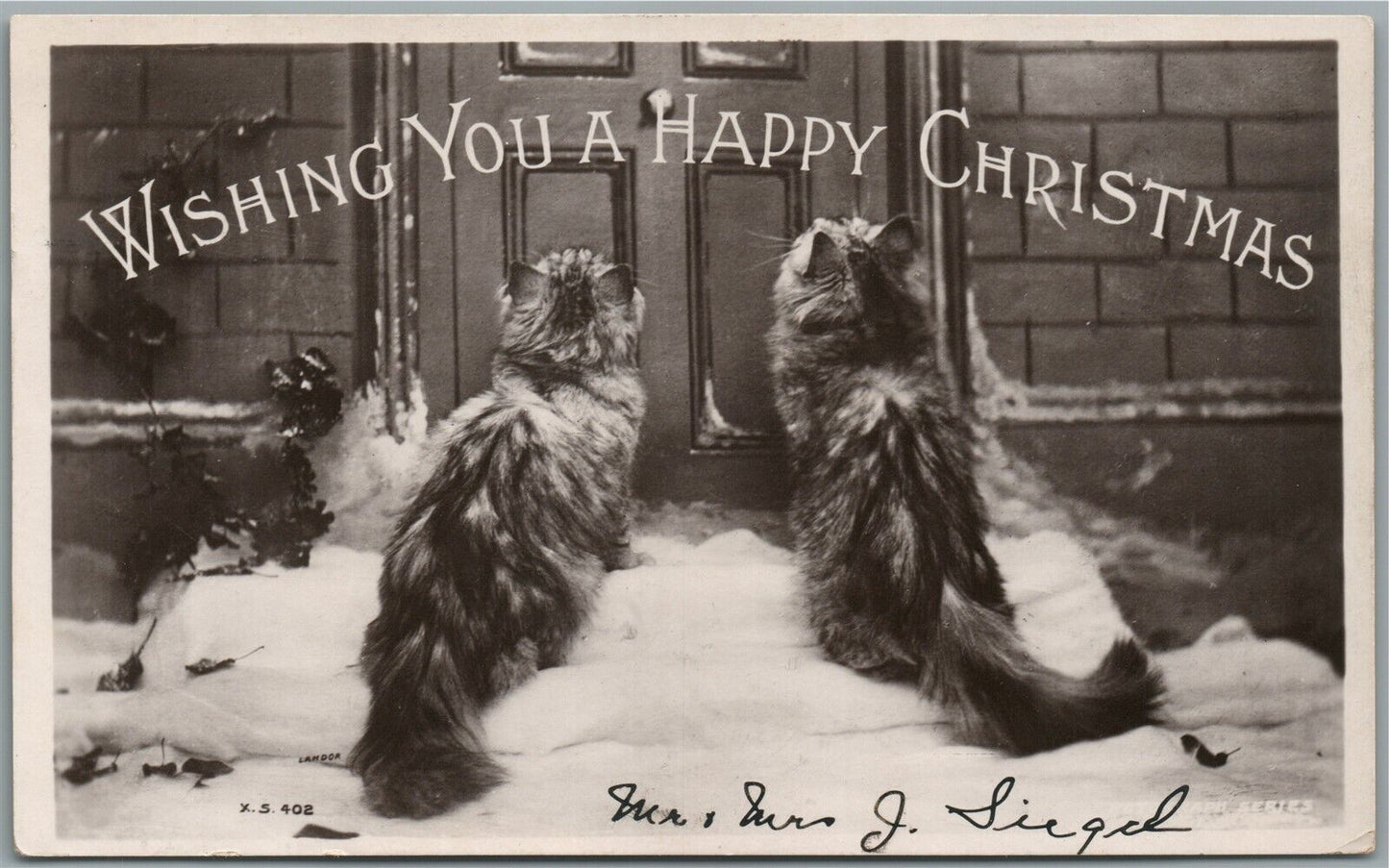 CUTE KITTENS CHRISTMAS ANTIQUE REAL PHOTO POSTCARD RPPC