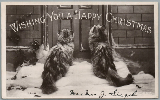 CUTE KITTENS CHRISTMAS ANTIQUE REAL PHOTO POSTCARD RPPC