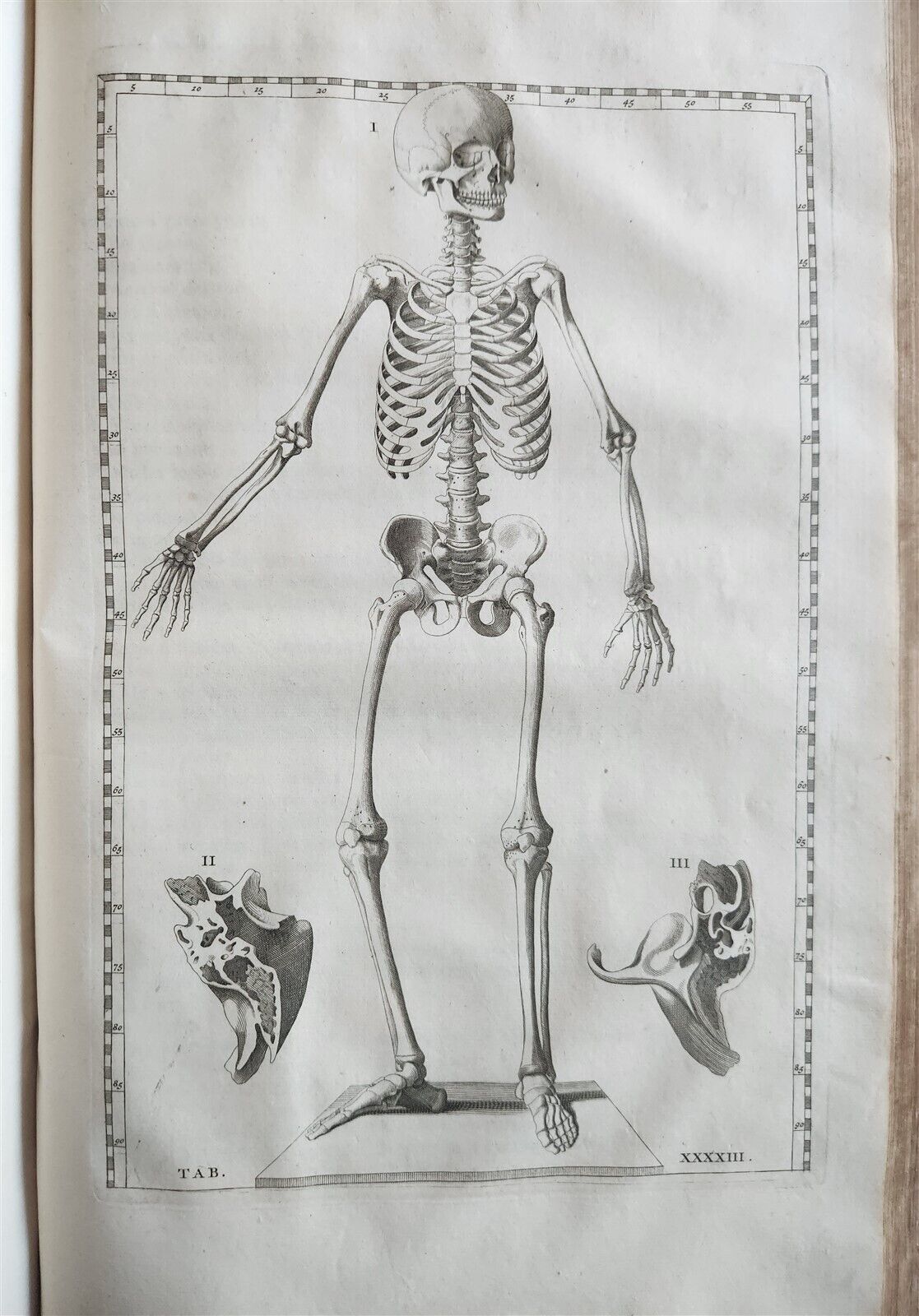 1744 ILLUSTRATED ANATOMY antique FOLIO Explicatio tabularum anatomicarum ALBINUS