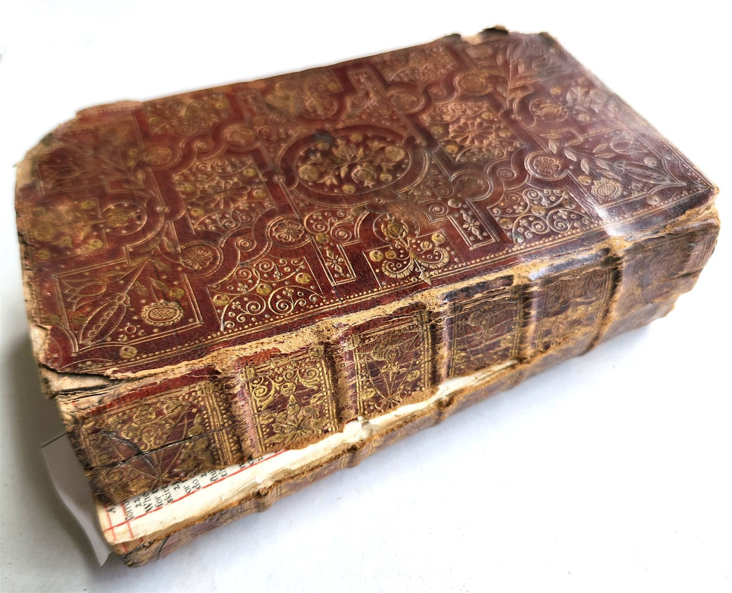 1681 BIBLE in ENGLISH antique FINBE ORIGINAL BINDING Old & New Testament