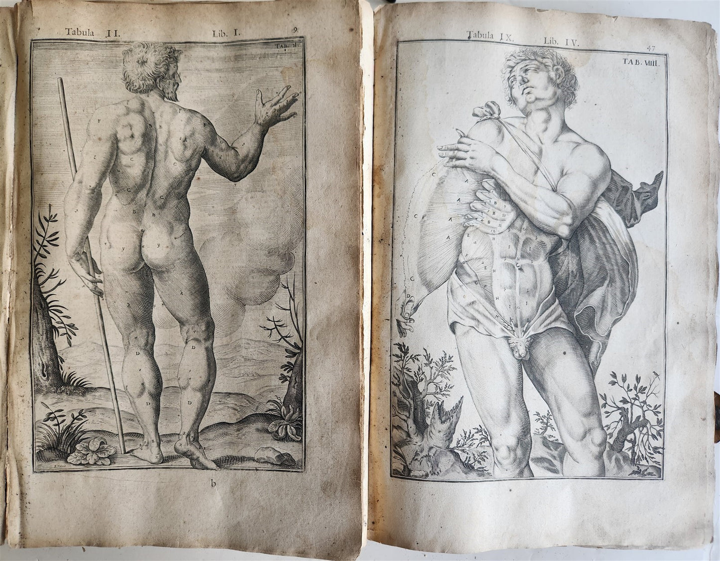 1645 ANATOMY TREATISE Adrian Spigelius 176 ENGRAVINGS ILLUSTRATED FOLIO antique