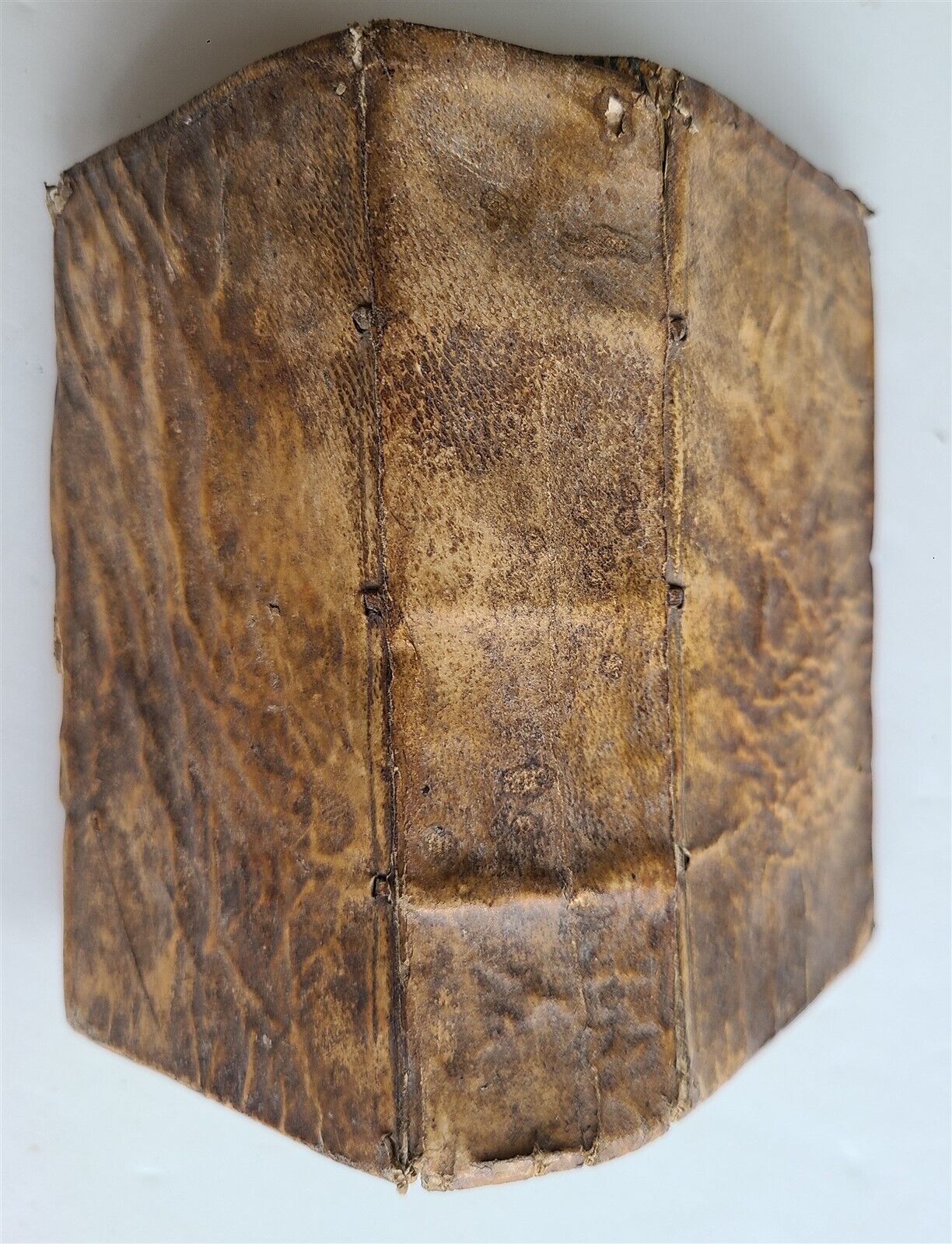 1623 WALDENSIAN CHRONICLE SWISS THEOLOGY & HISTORY antique vellum bound