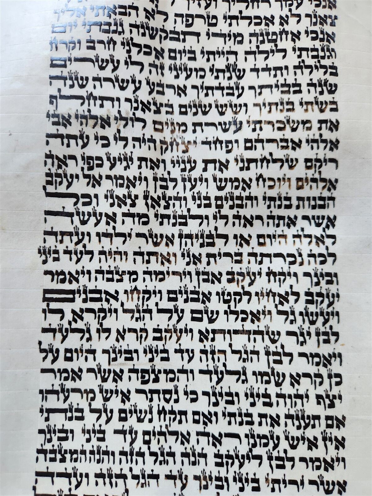 TORAH SCROLL FRAGMENT MANUSCRIPT on VELLUM antique BIBLE GENESIS 31:2-32:28