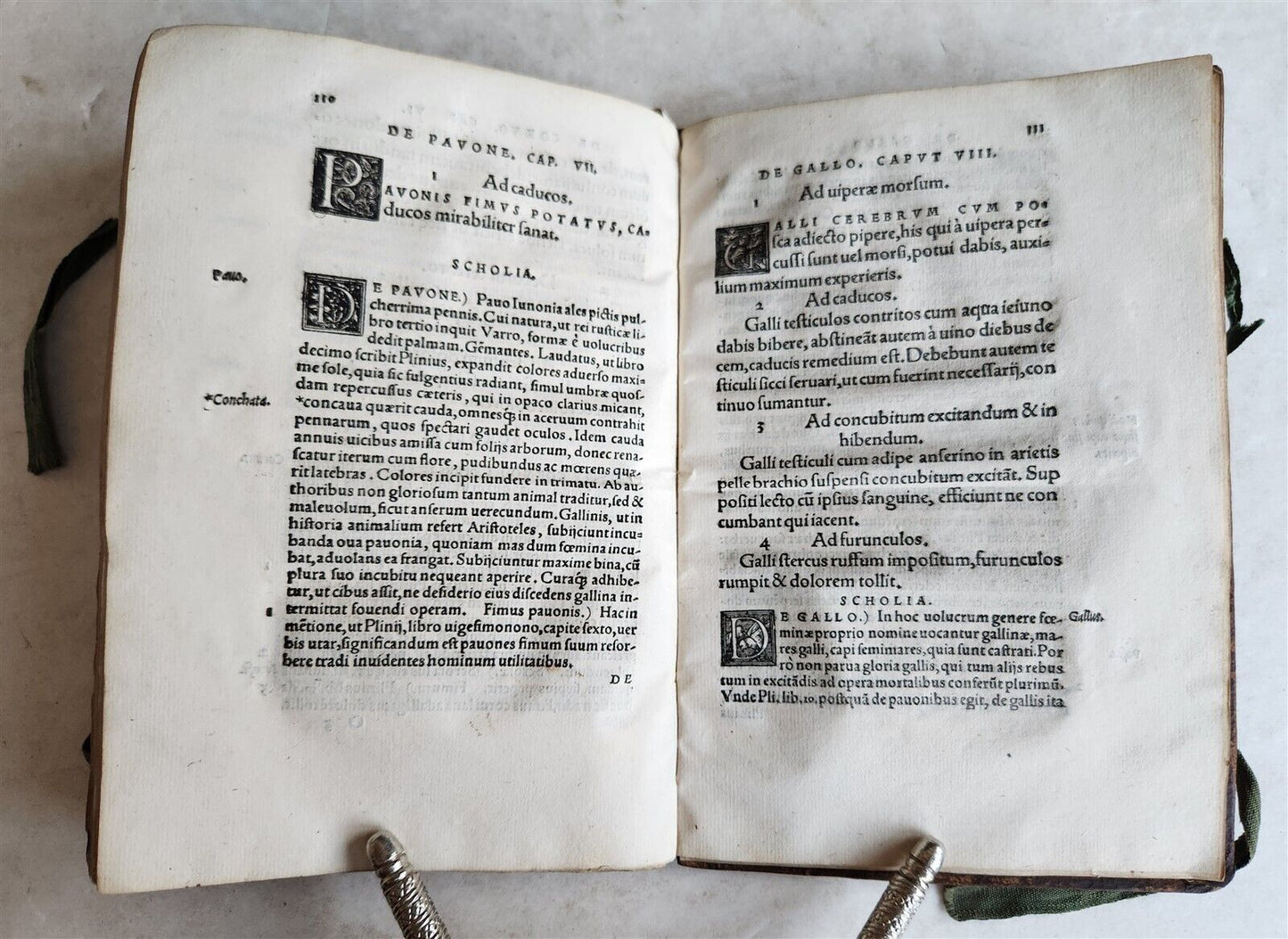 1539 PLATONIC PHILOSOPHY on MEDICINE of BEASTS CATTLE & BIRDS antique 16th CENT.