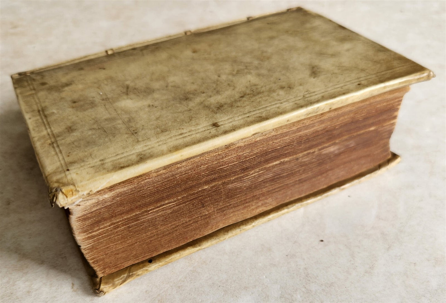 1664 CARTHAGO sive CARTHAGINENSIUM RESPUBLICA antique VELLUM BOUND in LATIN