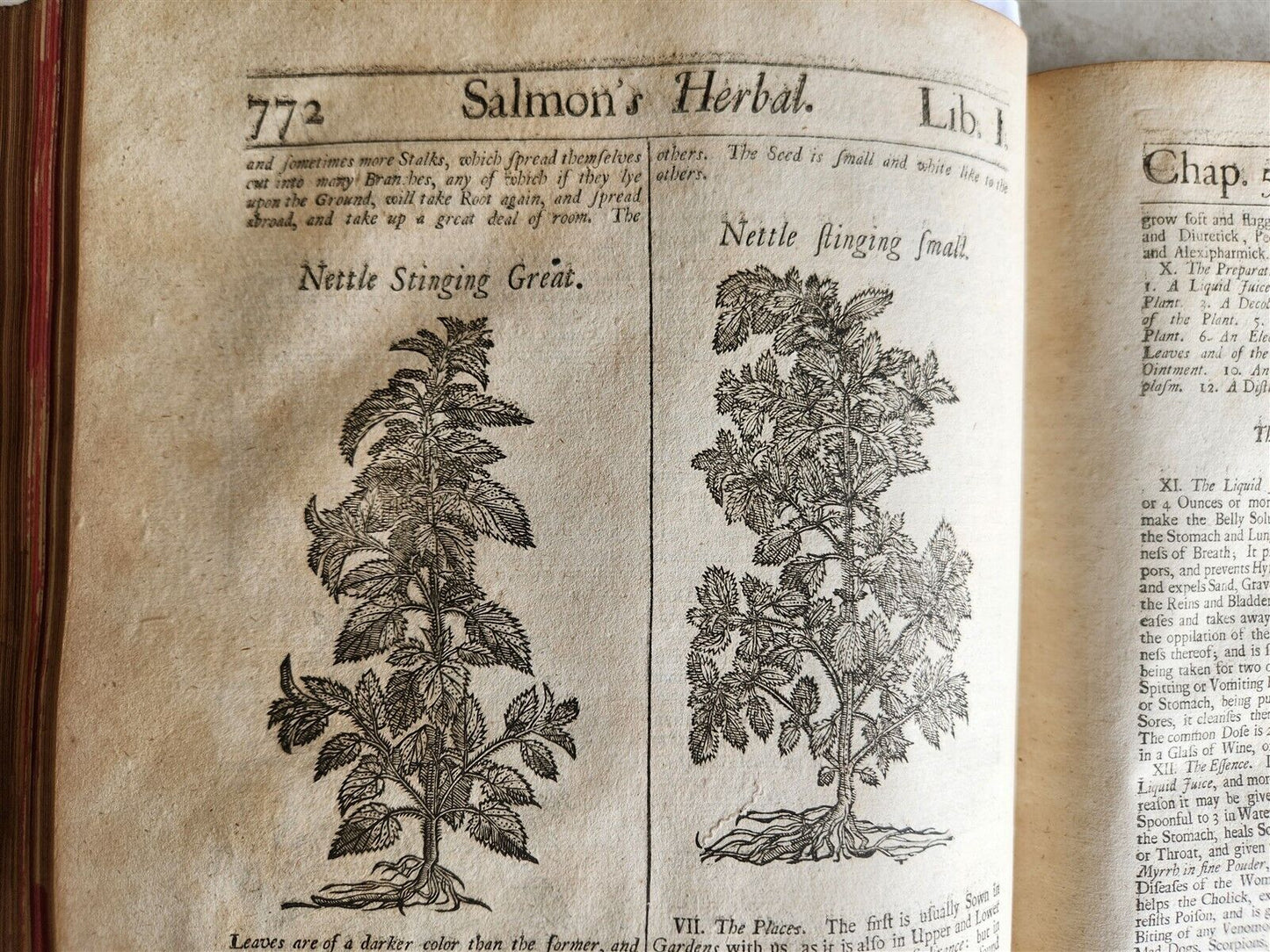 1710 BOTANOLOGIA ENGLISH HERBAL antique ILLUSTRATED MASSIVE FOLIO