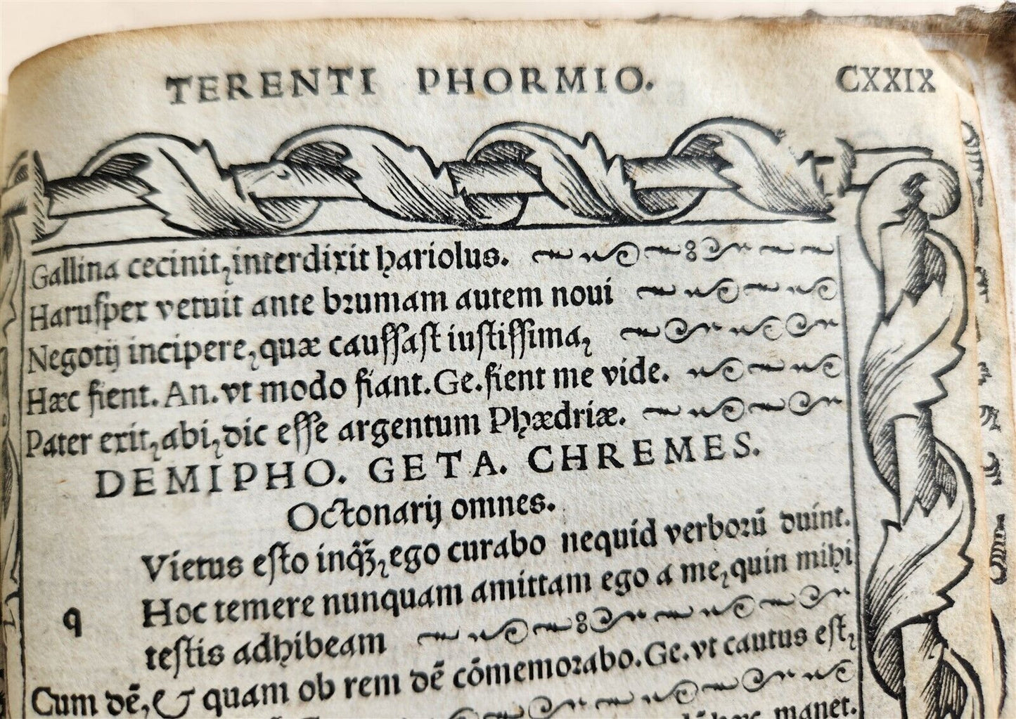 1511 POST-INCUNABULA EDITION of TERENCE antique RARE