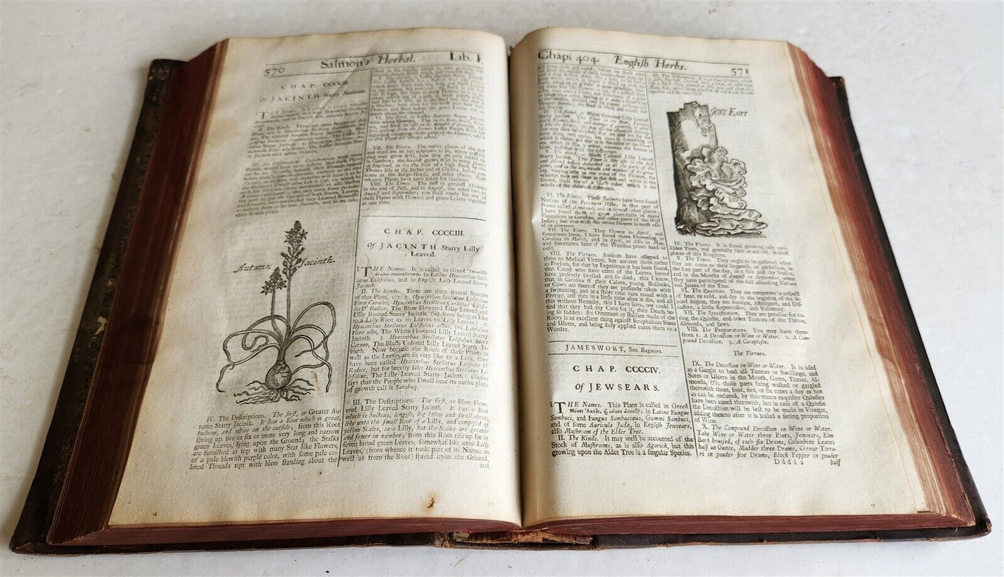 1710 BOTANOLOGIA ENGLISH HERBAL antique ILLUSTRATED MASSIVE FOLIO