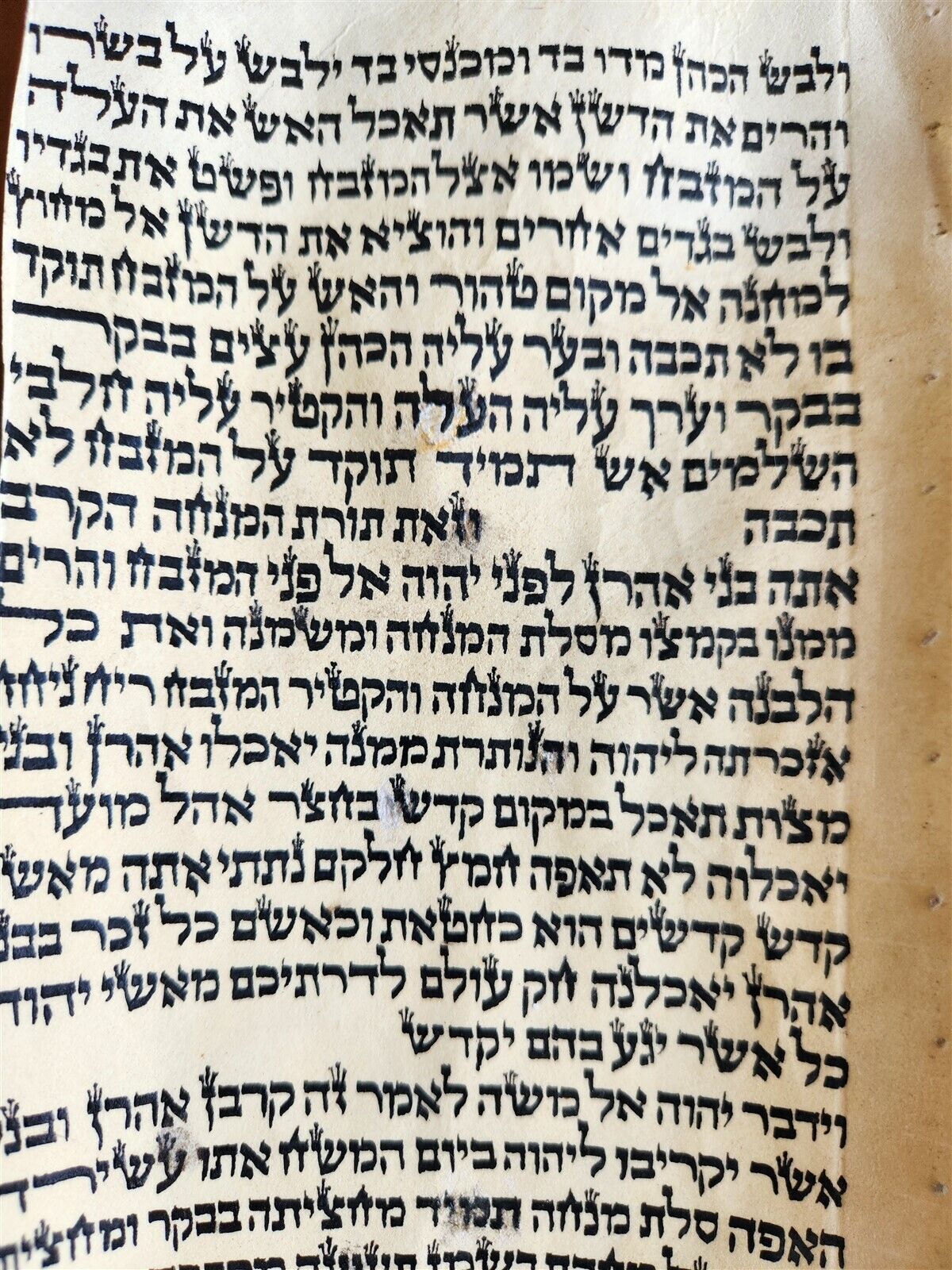 TORAH SCROLL FRAGMENT MANUSCRIPT on VELLUM antique BIBLE LEVITICUS 6:3 - 7:3