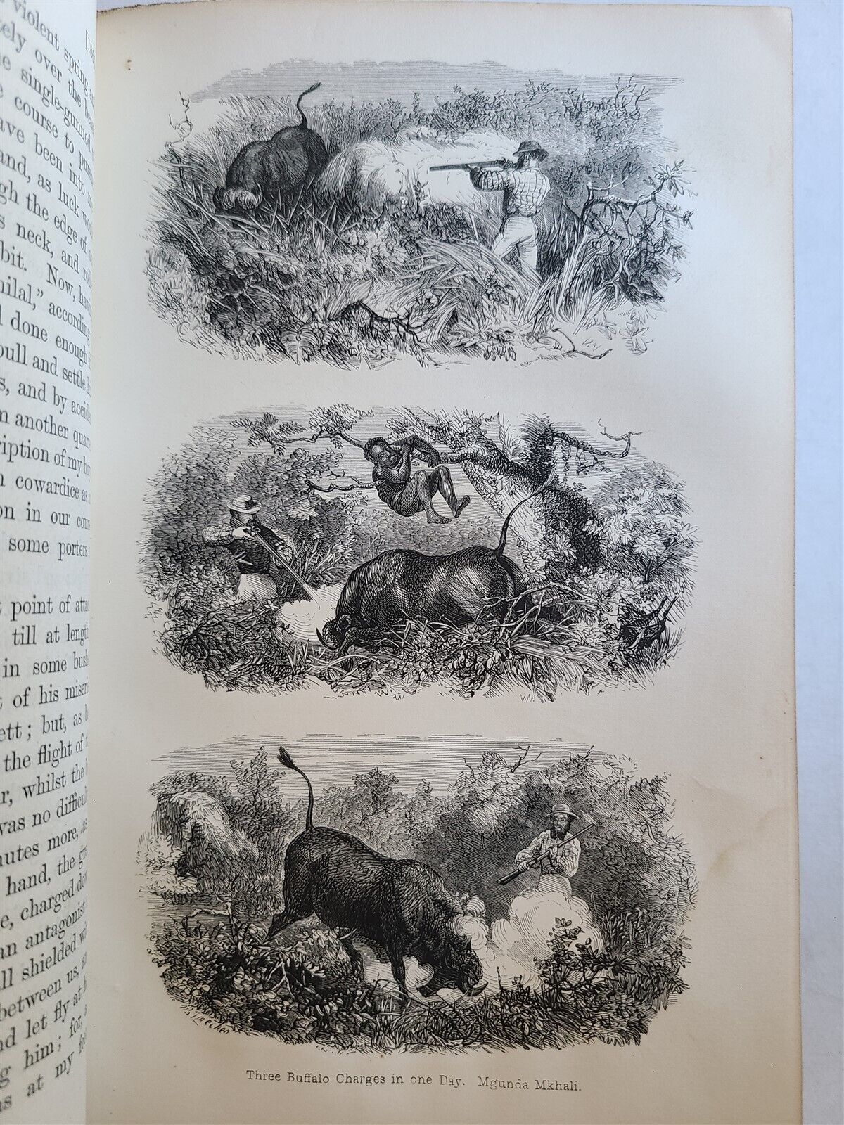 1863 JOURNAL of DISCOVERY of SOURCE of NILE antique ILLUSTRATED in ENGLISH