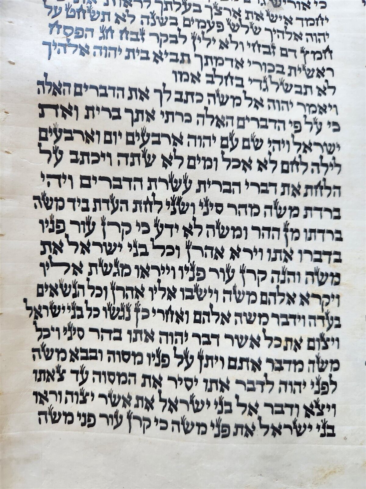 TORAH SCROLL FRAGMENT MANUSCRIPT on VELLUM antique BIBLE EXODUS 32:2 - 34:35