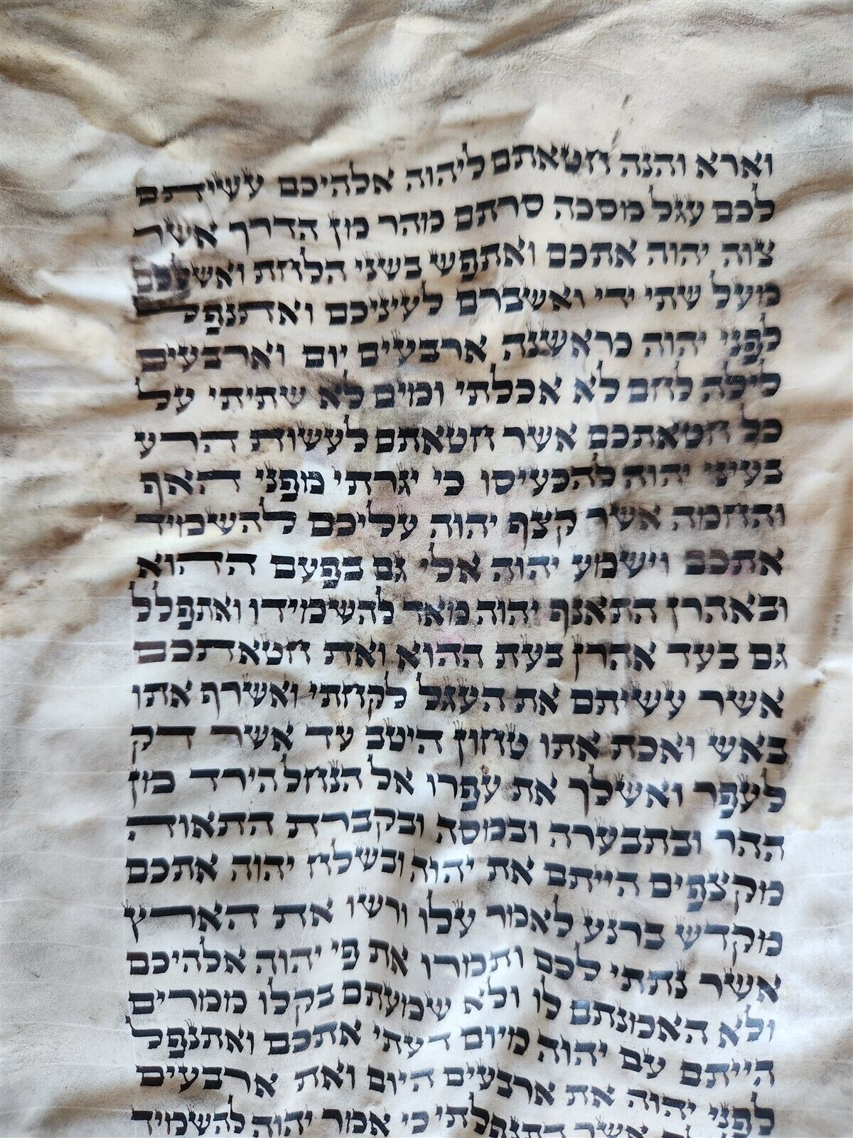 TORAH SCROLL FRAGMENT MANUSCRIPT on VELLUM antique BIBLE DEUTERONOMY 7:26-1:4