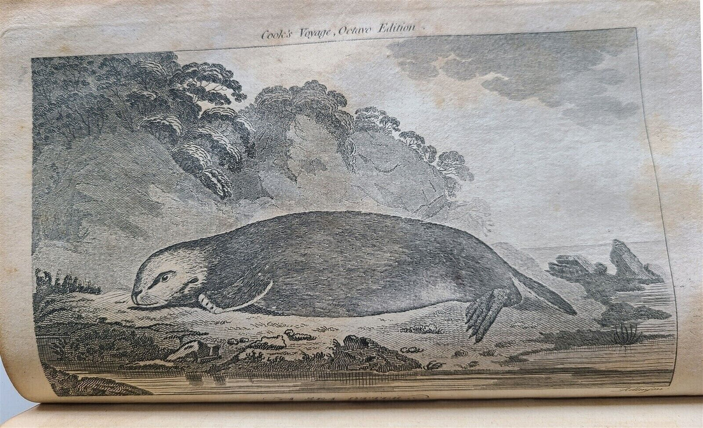 1796 VOYAGES of CAPTAIN COOK 4 vols 1st US EDITION ILLUSTRATED antique ENGLISH