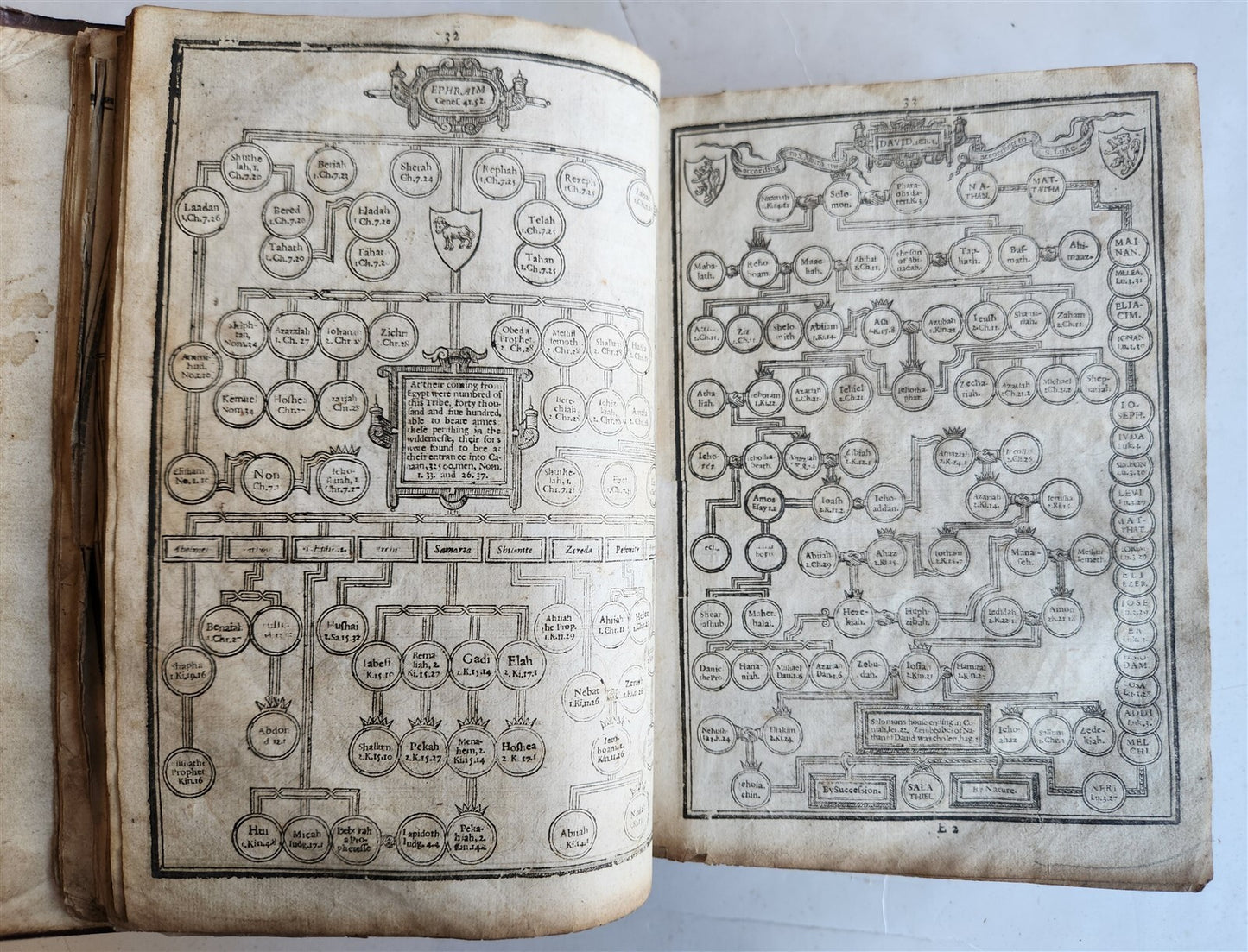 1629 BIBLE in ENGLISH antique ILLUSTRATED Old & New Testament