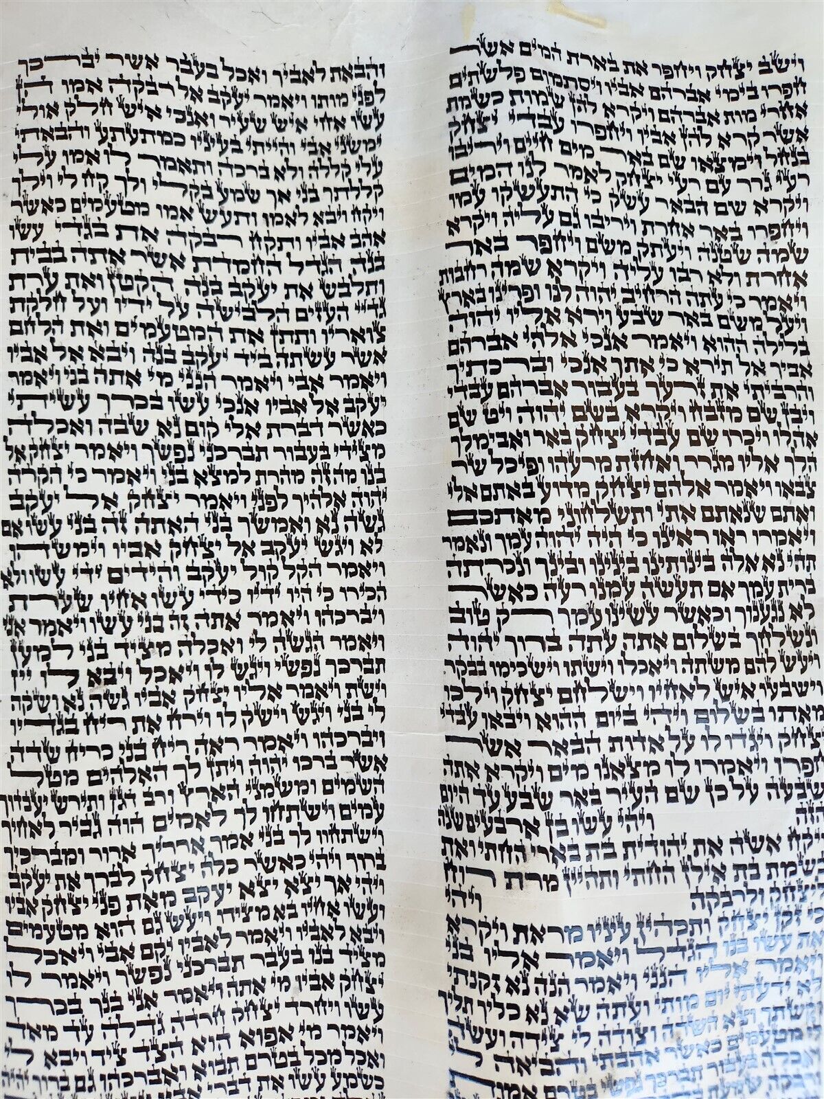 TORAH SCROLL FRAGMENT MANUSCRIPT on VELLUM antique BIBLE GENESIS 24:64-28:15