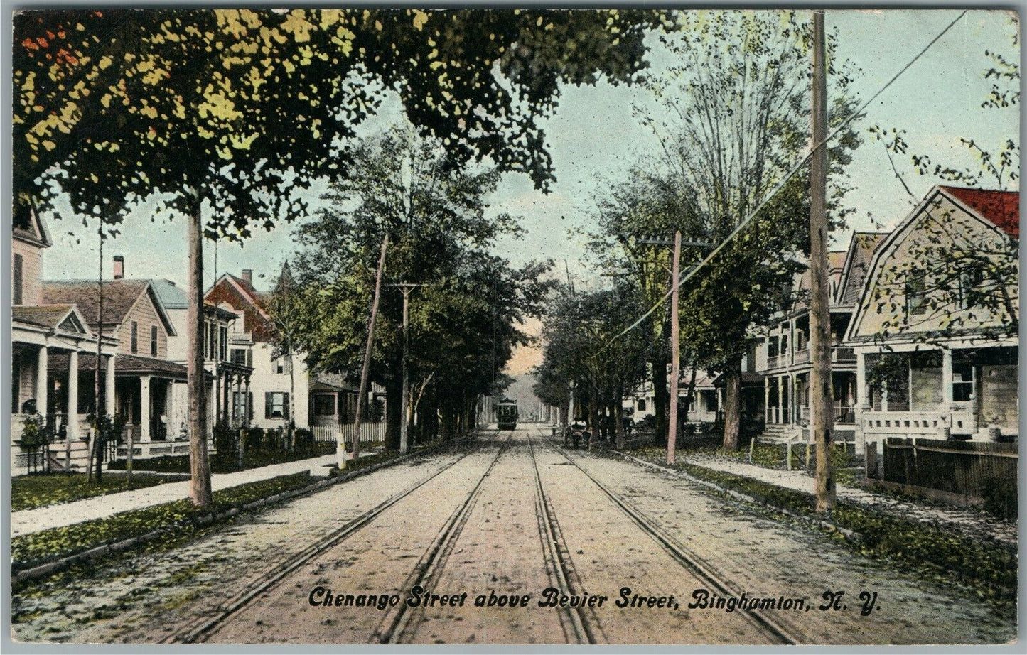 BINGHAMPTON NY CHENANGO STREET ANTIQUE POSTCARD