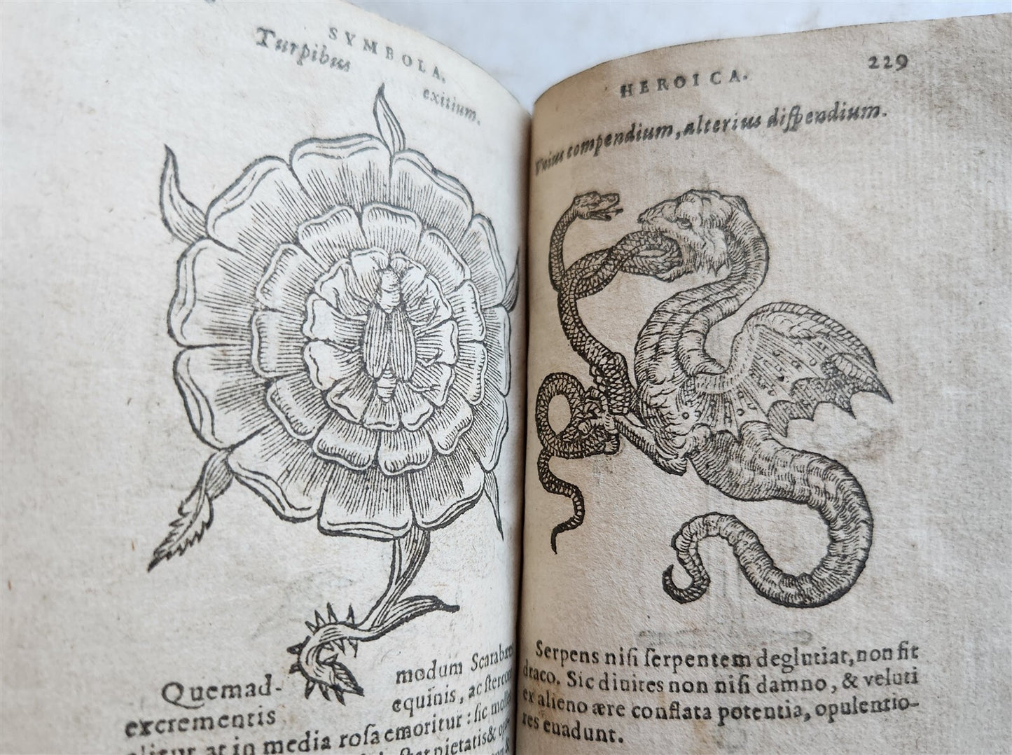 1596-1600 EMBLEMATA antique ILLUSTRATED w/ 270 WOODCUTS PLANTIN VELLUM BINDING