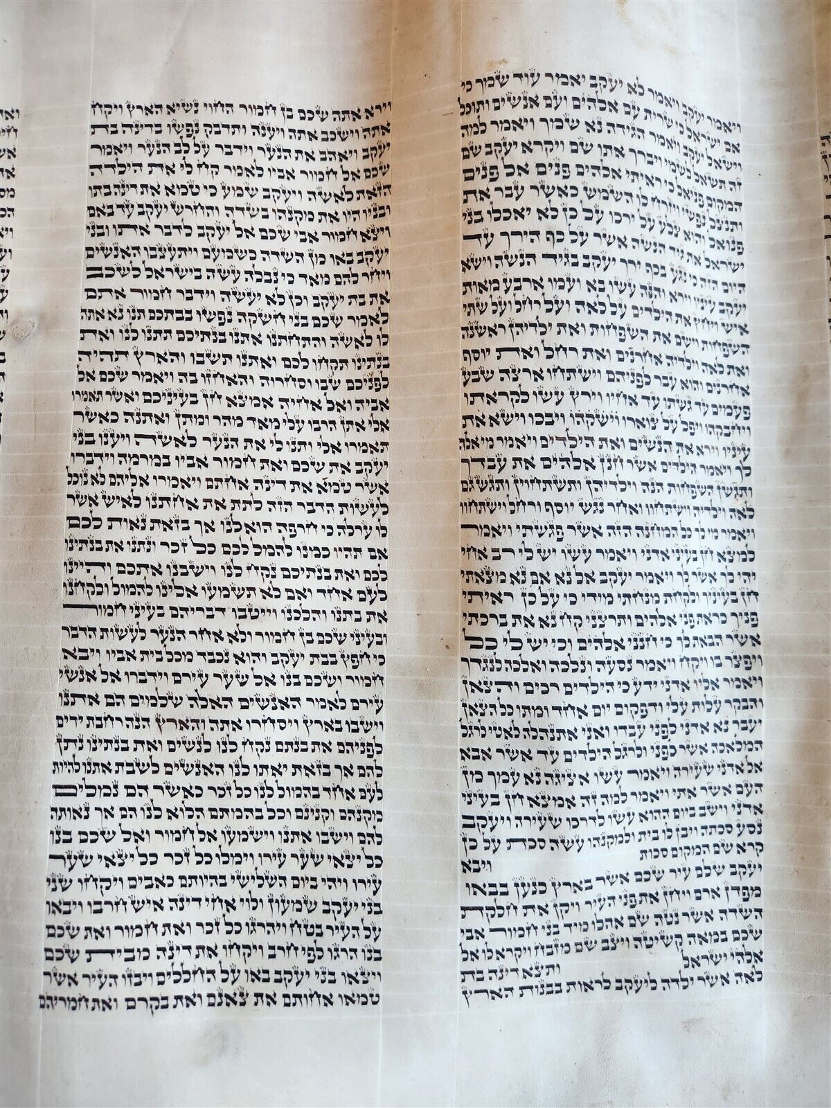 TORAH SCROLL large FRAGMENT MANUSCRIPT VELLUM antique BIBLE GENESIS 32:3-47:18
