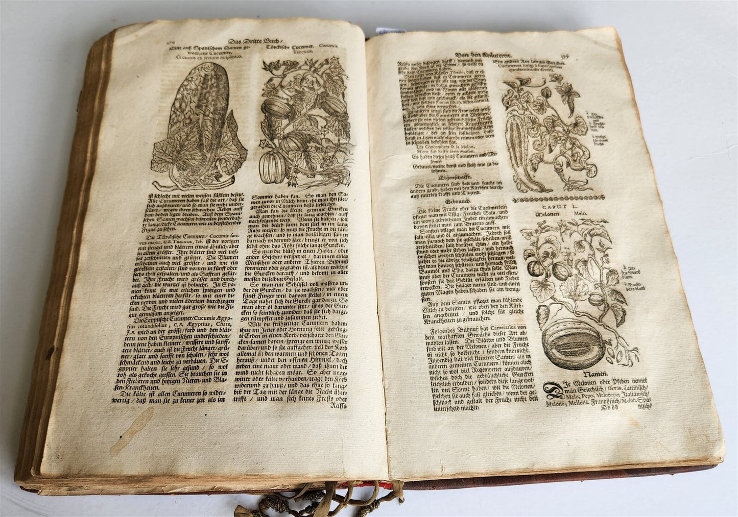 1696 THEATRUM BOTANICUM by Theodor ZWINGER antique ILLUSTRATED FOLIO in GERMAN