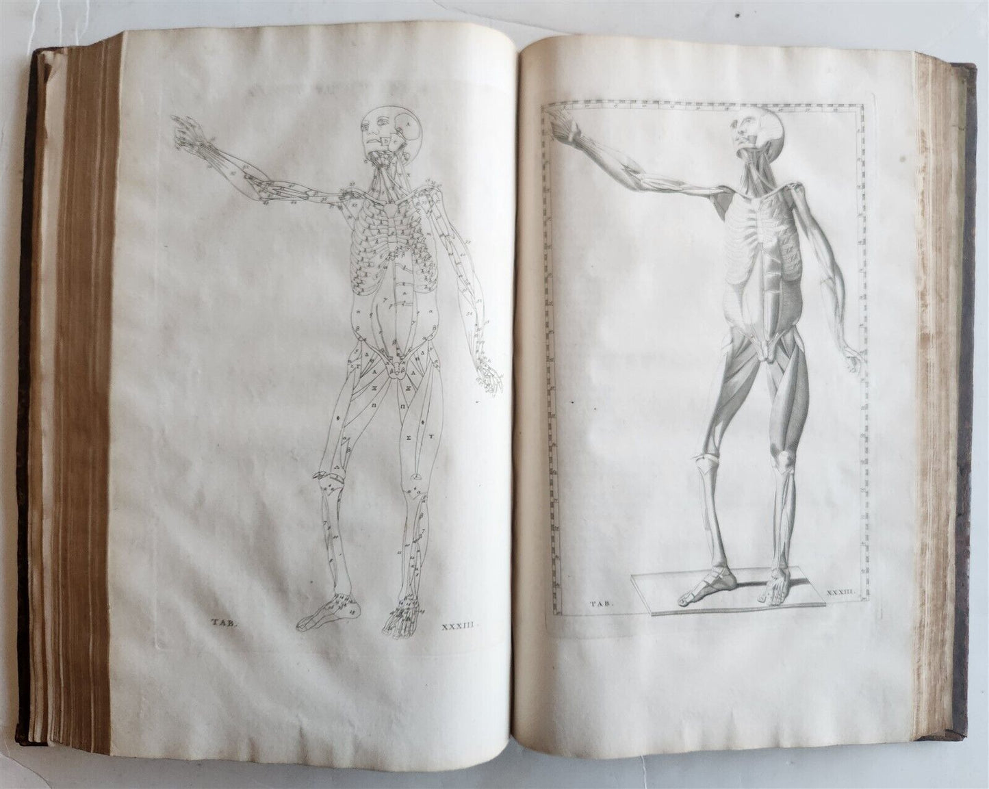 1744 ILLUSTRATED ANATOMY antique FOLIO Explicatio tabularum anatomicarum ALBINUS