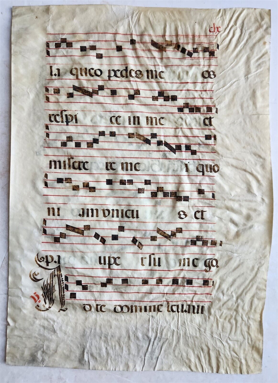 16th - 17th century ANTIPHONAL VELLUM CHART MANUSCRIPT antique music score 14x19
