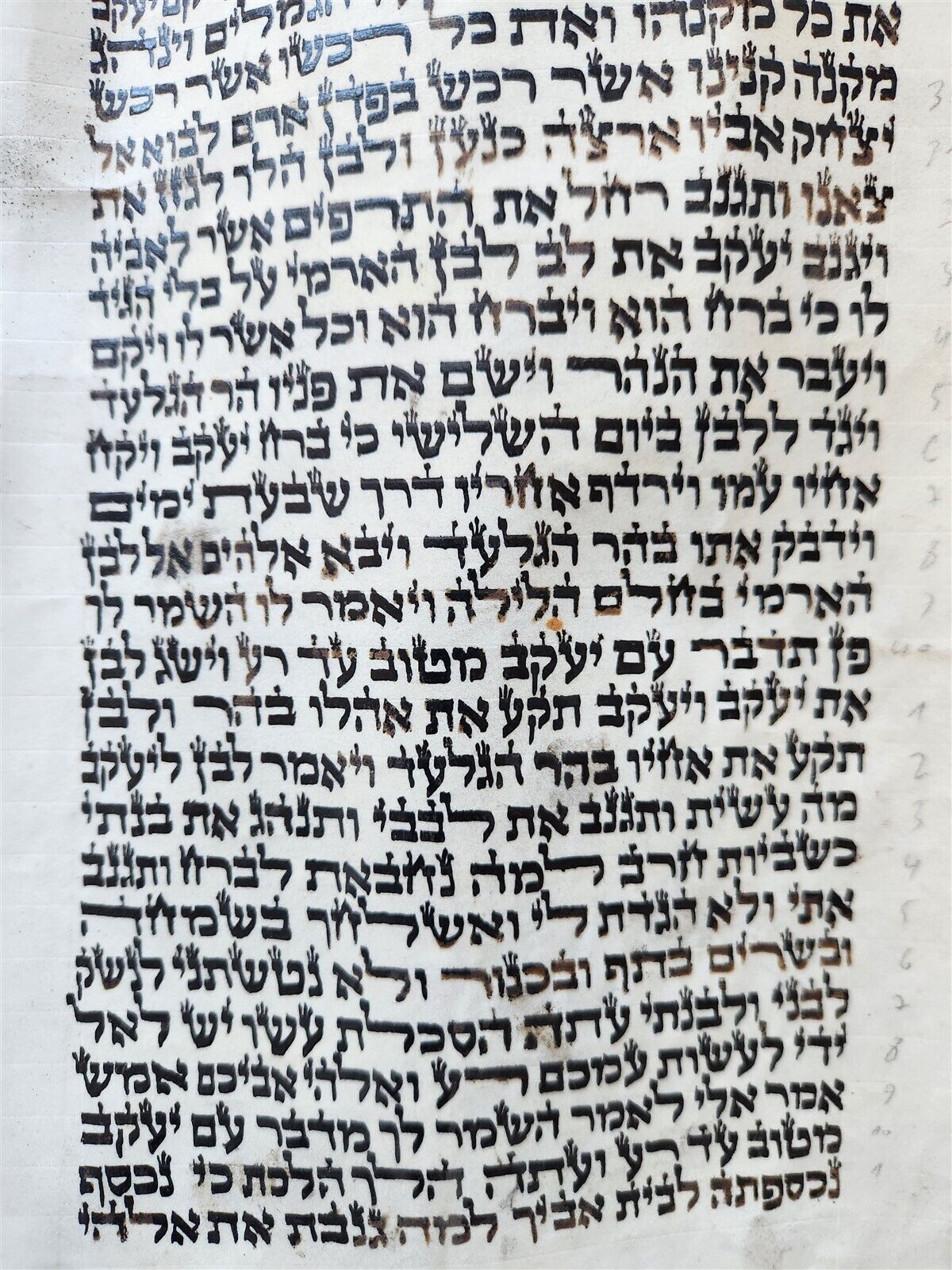 TORAH SCROLL FRAGMENT MANUSCRIPT on VELLUM antique BIBLE GENESIS 31:2-32:28