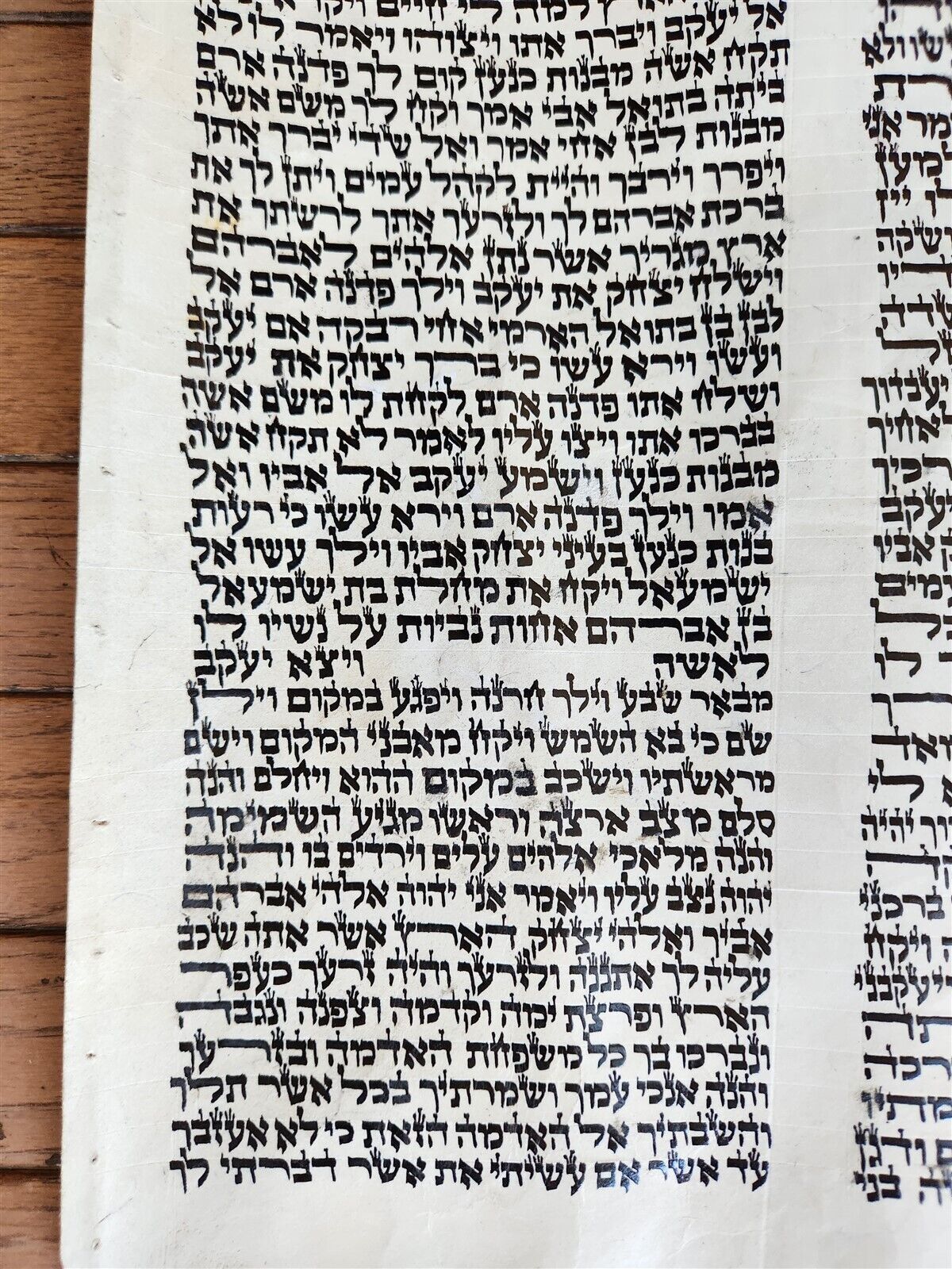 TORAH SCROLL FRAGMENT MANUSCRIPT on VELLUM antique BIBLE GENESIS 24:64-28:15