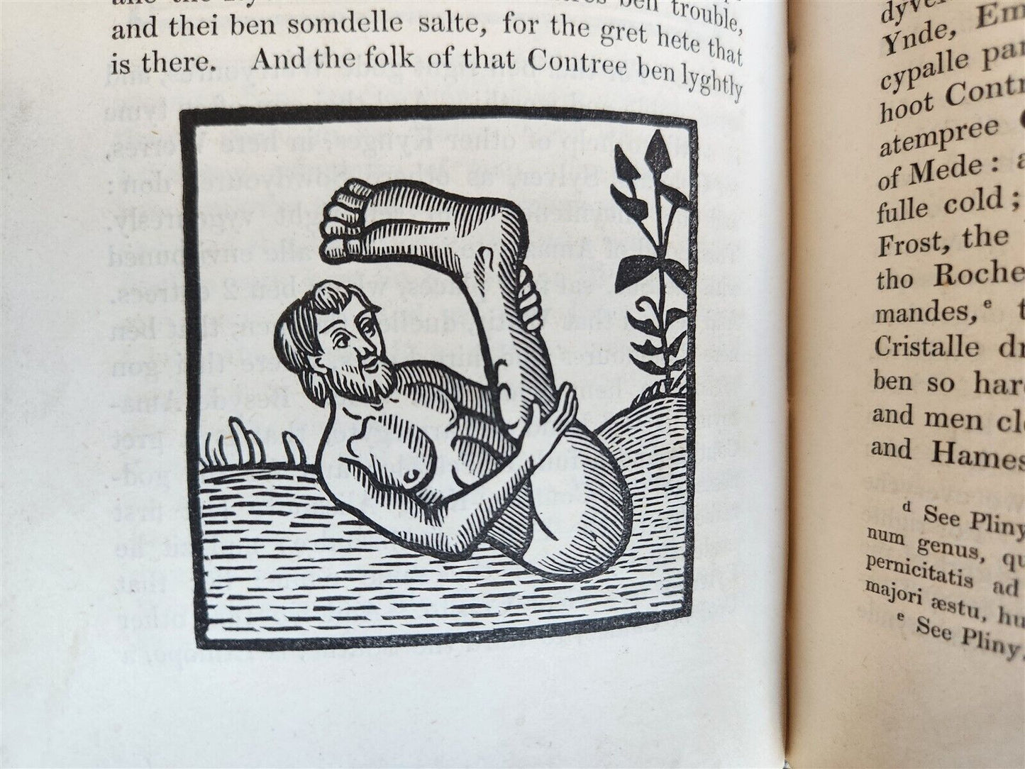 1839 Voiage and Travaile of Sir John Maundevile ILLUSTRATED antique