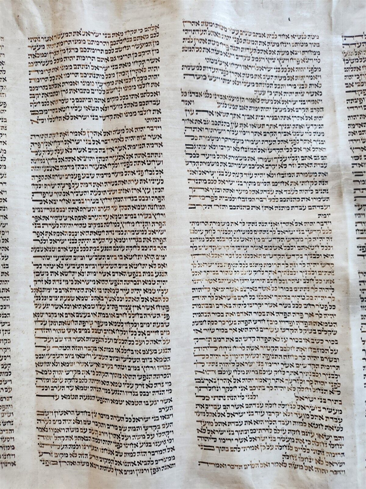 TORAH SCROLL FRAGMENT MANUSCRIPT on VELLUM antique BIBLE BOOK OF NUMBERS 21x42"