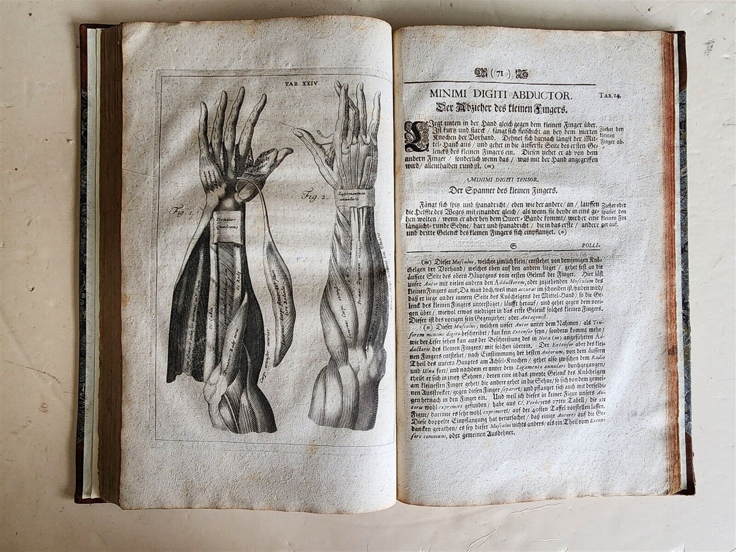 1704 ANATOMY MUSCLE TREATISE antique AMAZINGLY ILLUSTRATED