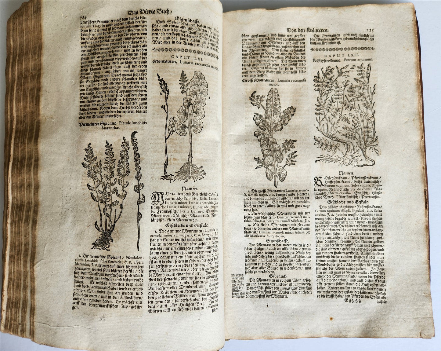 1696 THEATRUM BOTANICUM by Theodor ZWINGER antique ILLUSTRATED FOLIO in GERMAN