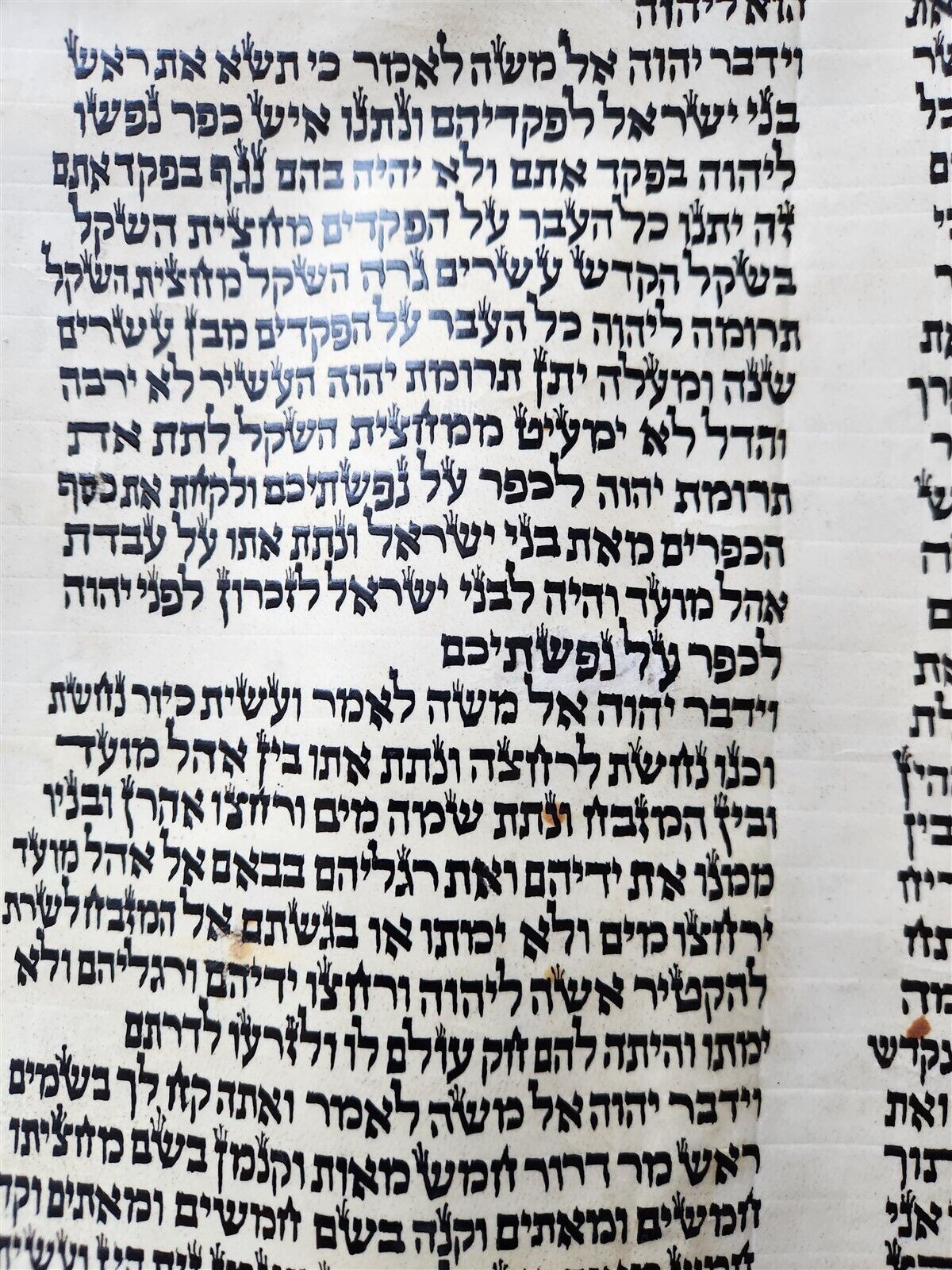 TORAH SCROLL FRAGMENT MANUSCRIPT on VELLUM antique BIBLE EXODUS 29:4-32.2