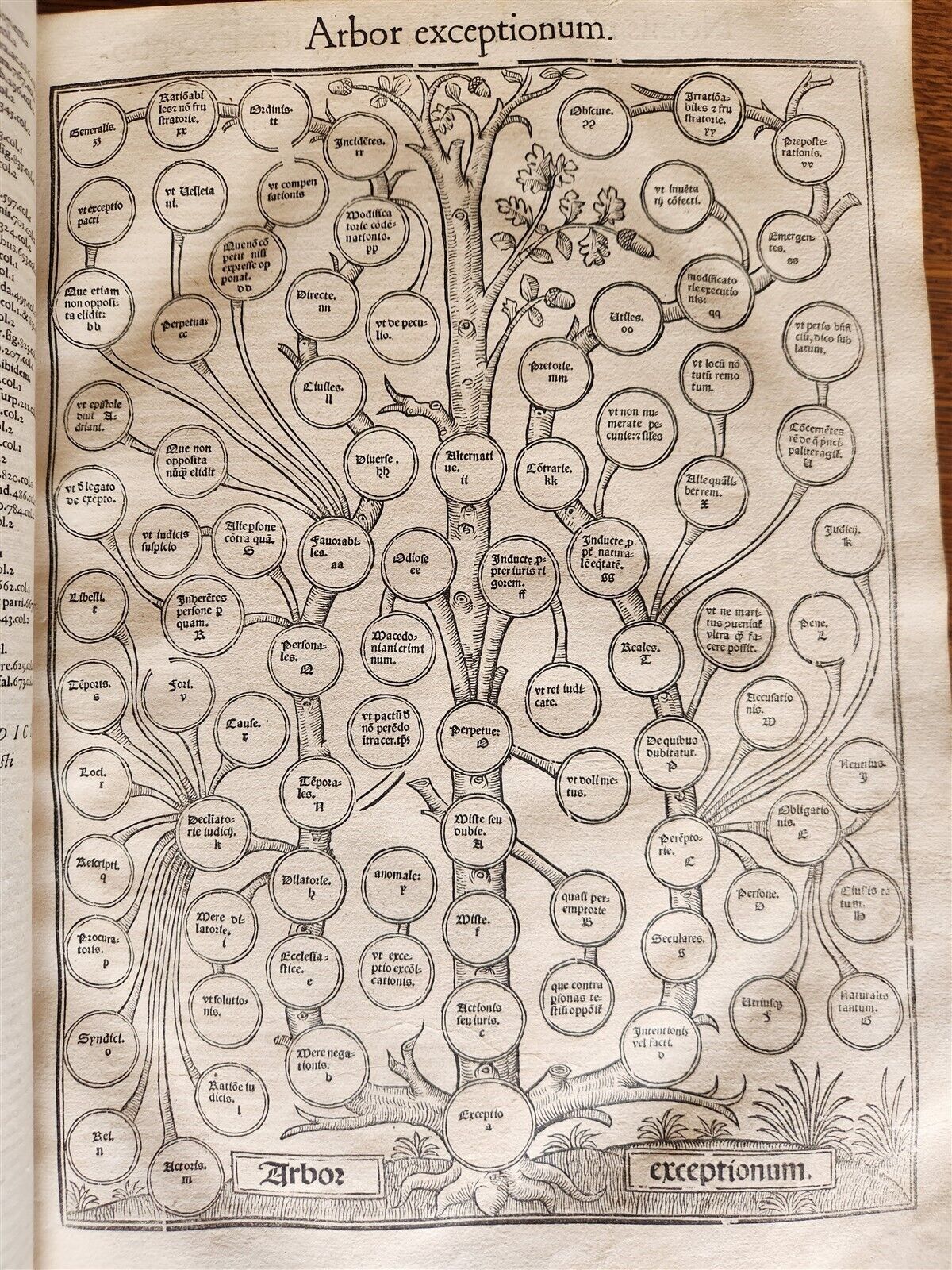 1556 LAW BOOK Corpus Juris Civilis DIGESTUM NOVUM antique MASSIVE FOLIO vellum