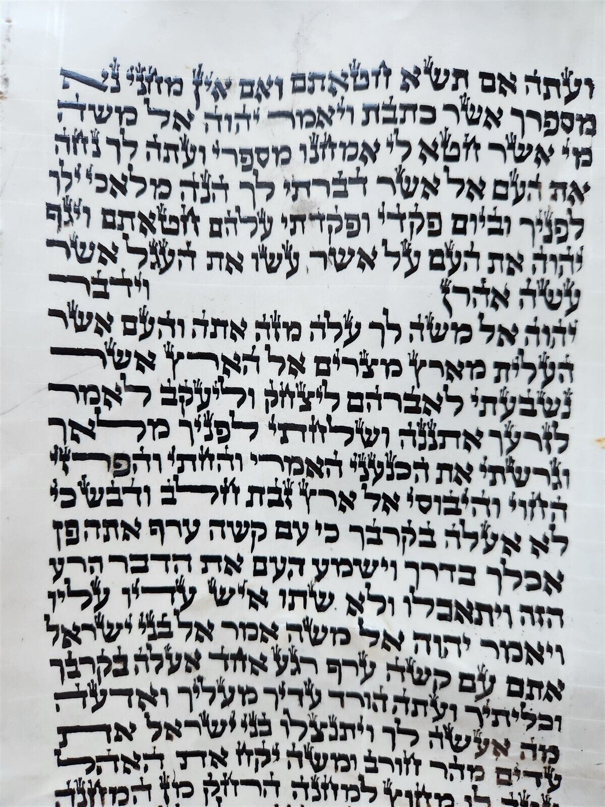 TORAH SCROLL FRAGMENT MANUSCRIPT on VELLUM antique BIBLE EXODUS 30:13-33:19