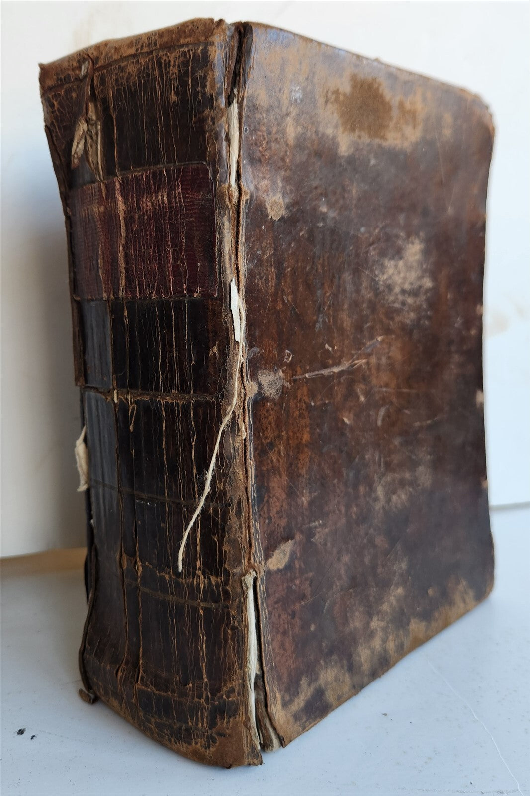 1629 BIBLE in ENGLISH antique ILLUSTRATED Old & New Testament