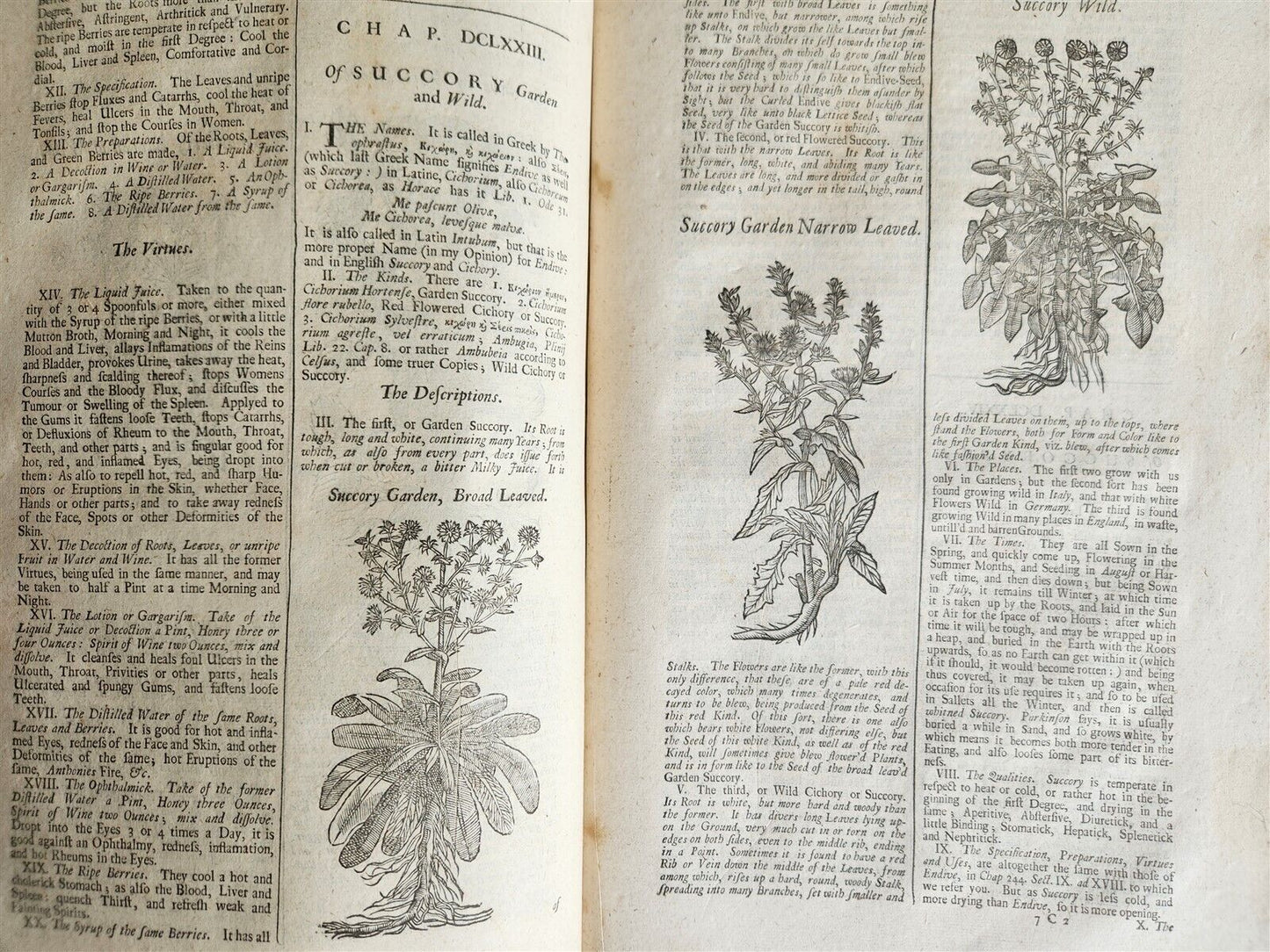 1710 BOTANOLOGIA ENGLISH HERBAL antique ILLUSTRATED MASSIVE FOLIO
