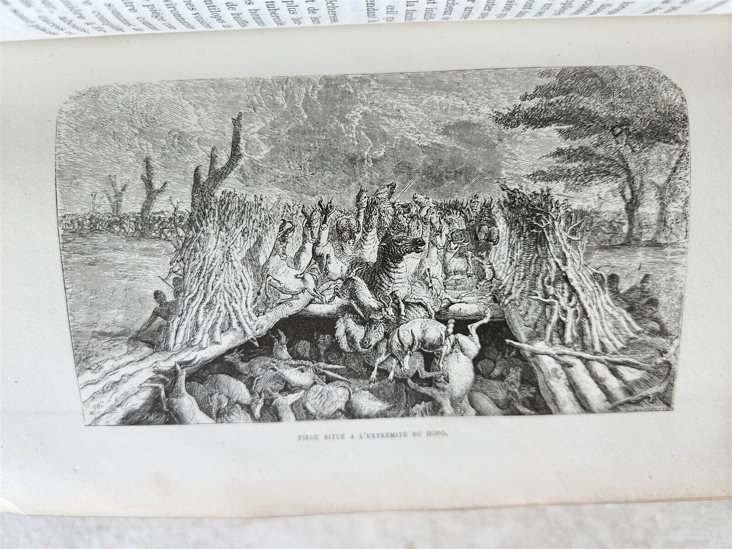 1859 EXPLORATIONS L'AFRIQUE et AUSTRALE LIVINGSTONE VOYAGES antique ILLUSTRATED