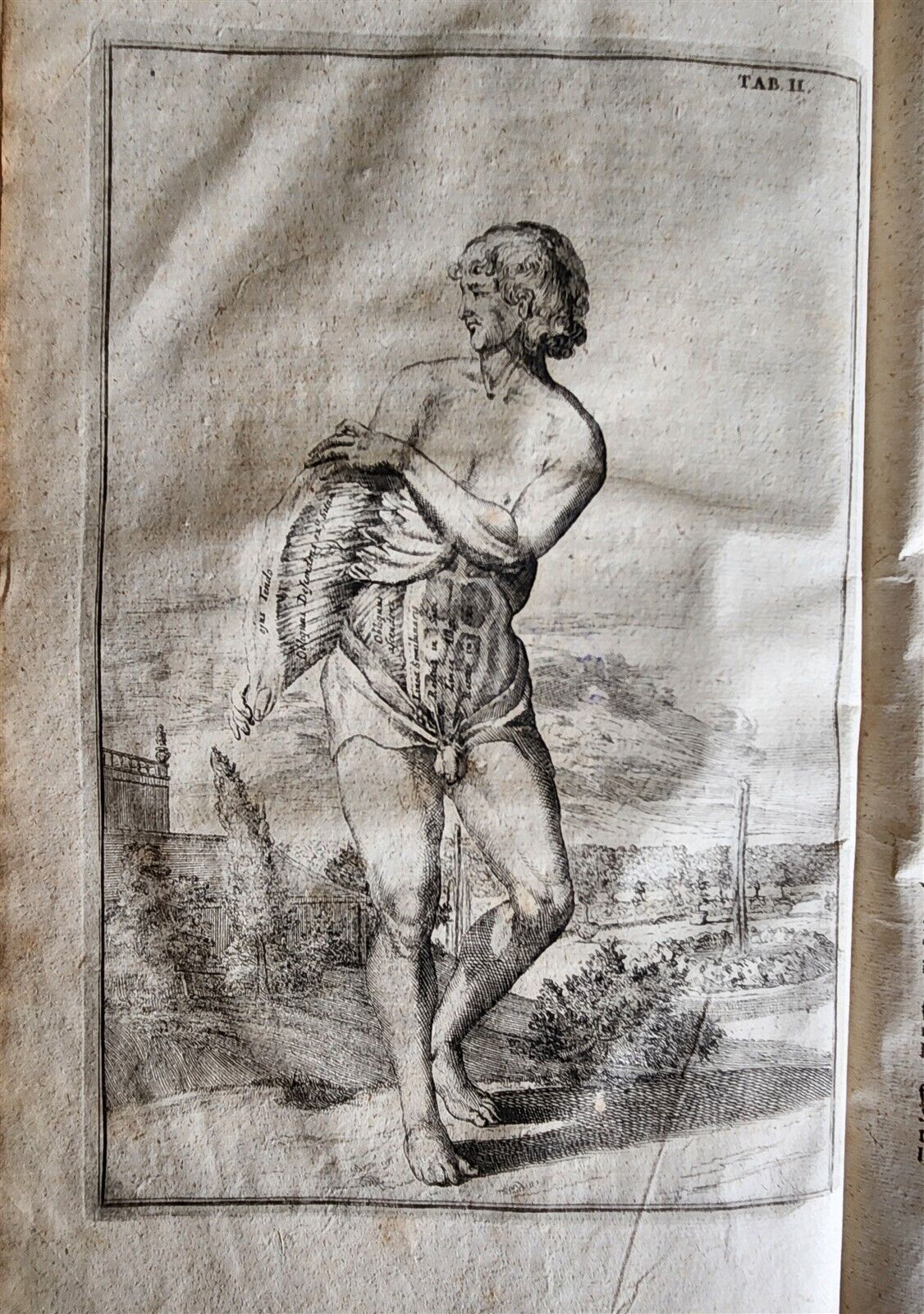 1704 ANATOMY MUSCLE TREATISE antique AMAZINGLY ILLUSTRATED