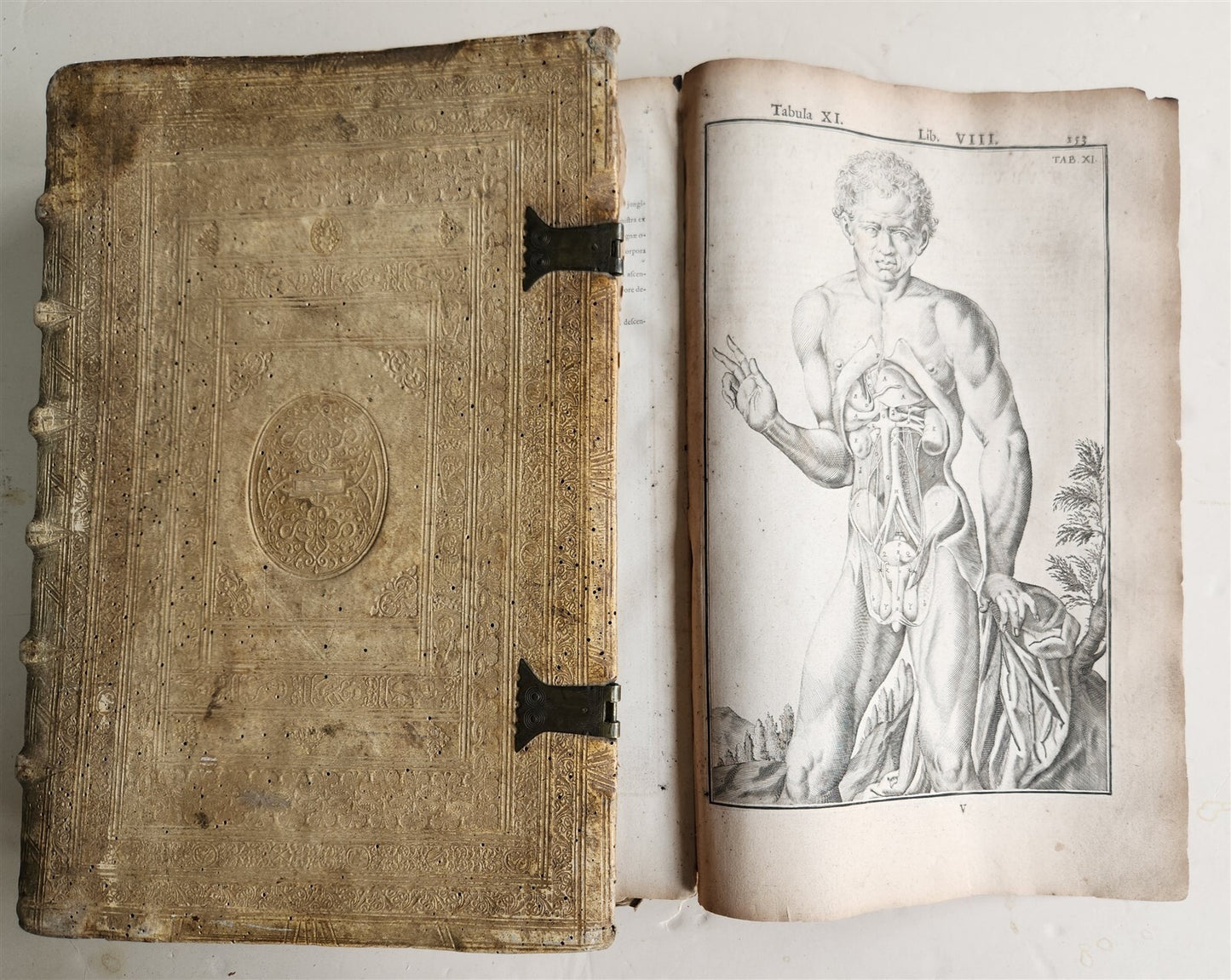 1645 ANATOMY TREATISE Adrian Spigelius 176 ENGRAVINGS ILLUSTRATED FOLIO antique