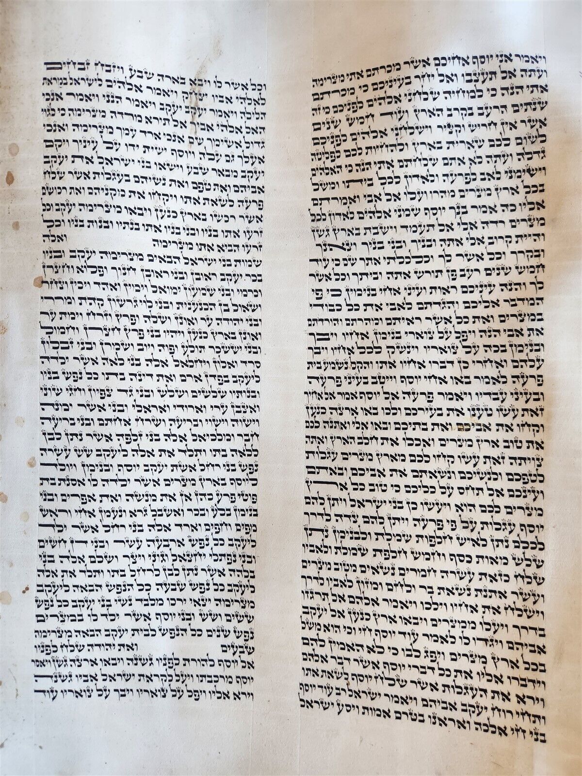TORAH SCROLL large FRAGMENT MANUSCRIPT VELLUM antique BIBLE GENESIS 32:3-47:18