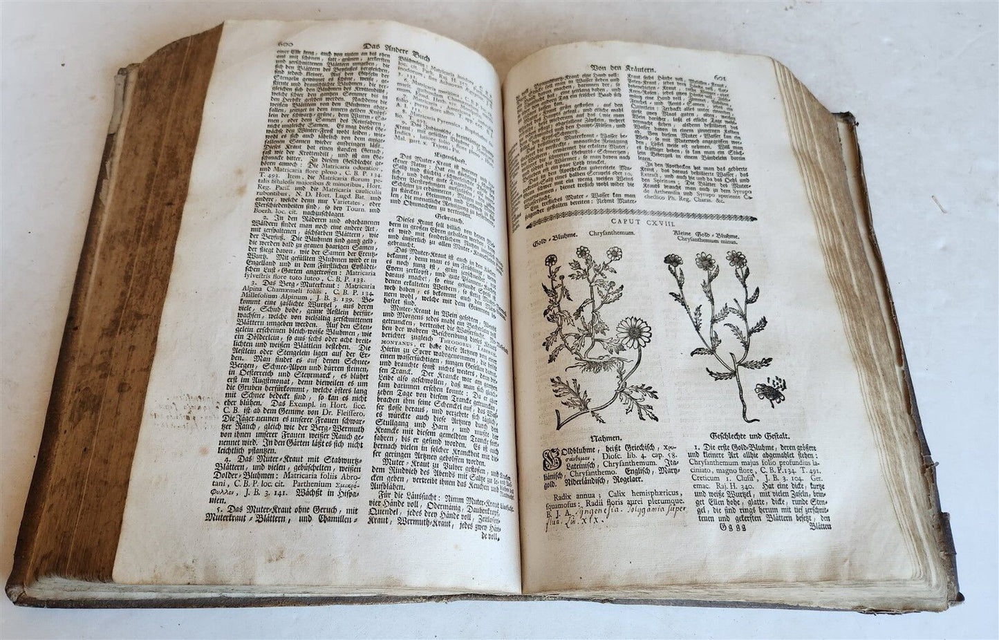 1744 THEATRUM BOTANICUM ILLUSTRATED GERMAN HERBAL antique PIGSKIN BOUND FOLIO