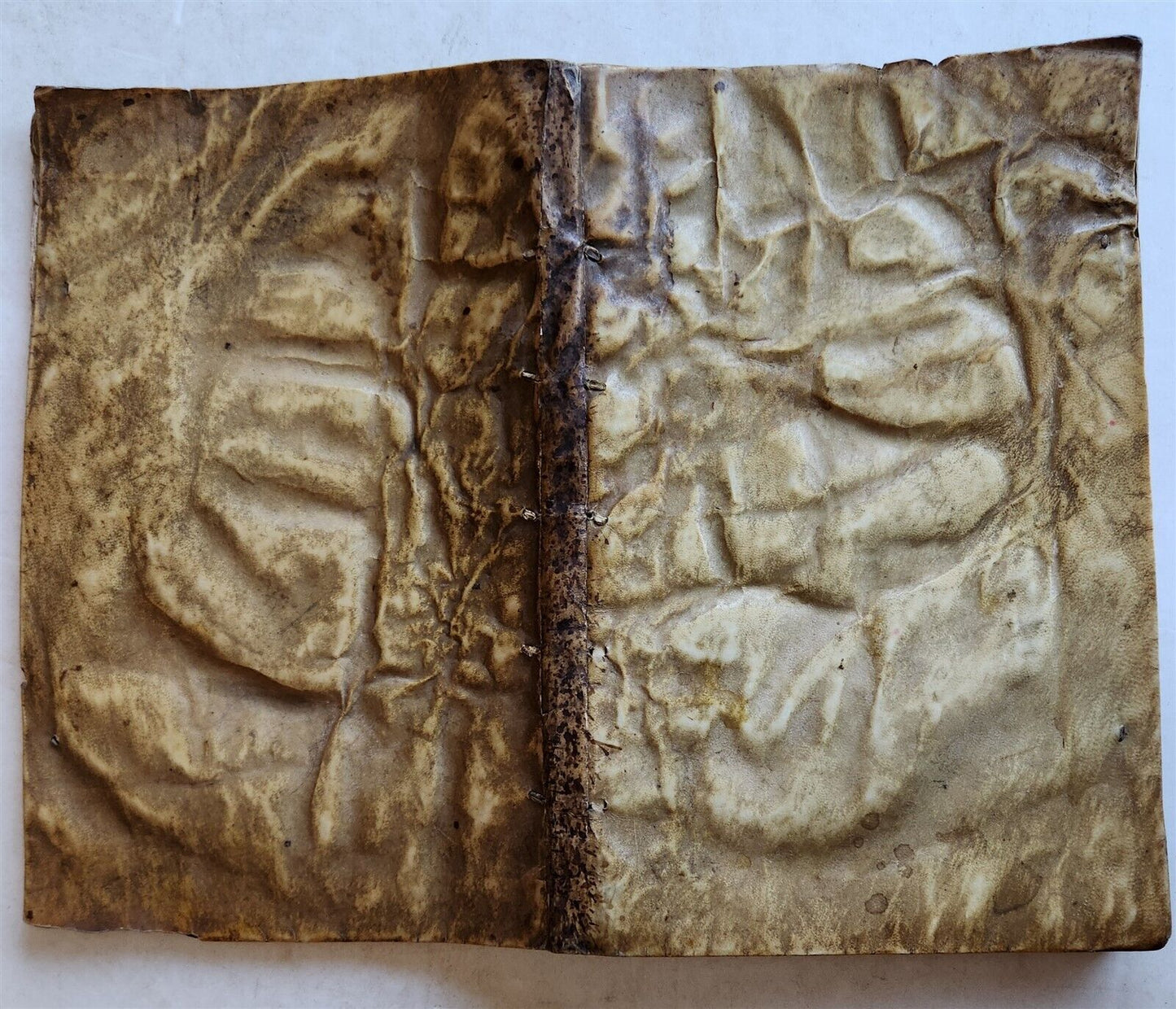 1584 HISTORY of HOLLAND antique ILLUSTRATED vellum bound Netherlands 16th CENT.