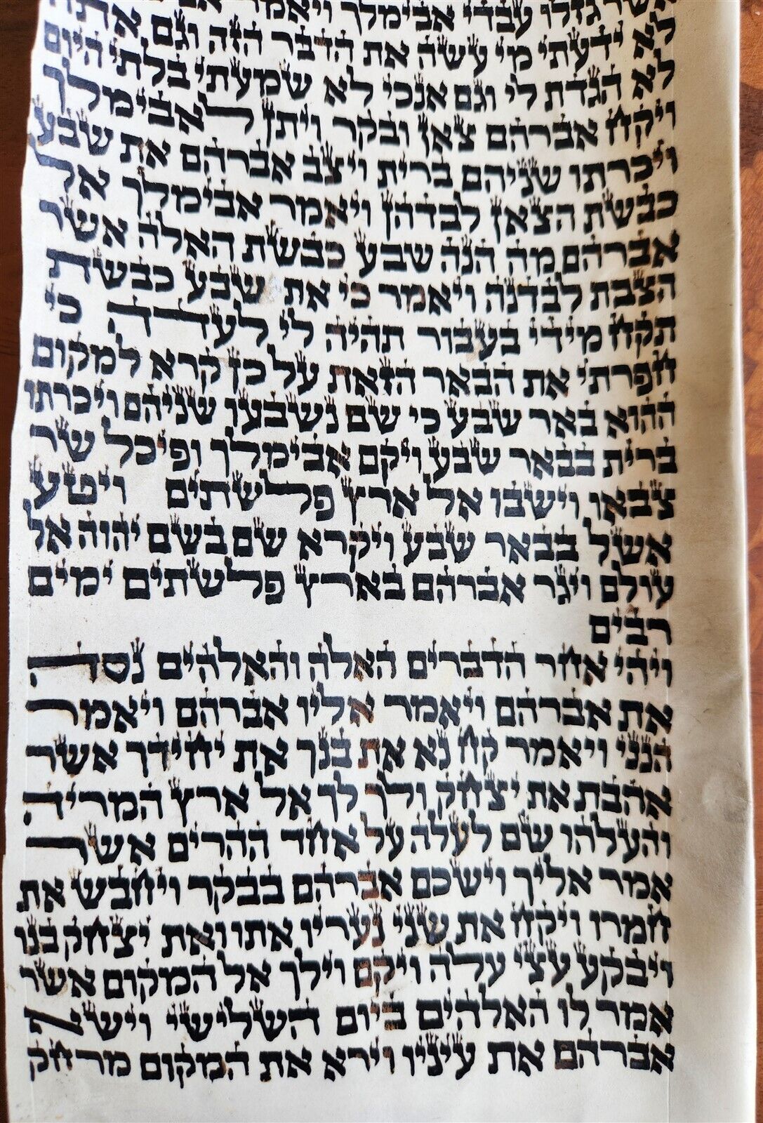 TORAH SCROLL FRAGMENT MANUSCRIPT on VELLUM antique BIBLE GENESIS 21:14 - 22:4