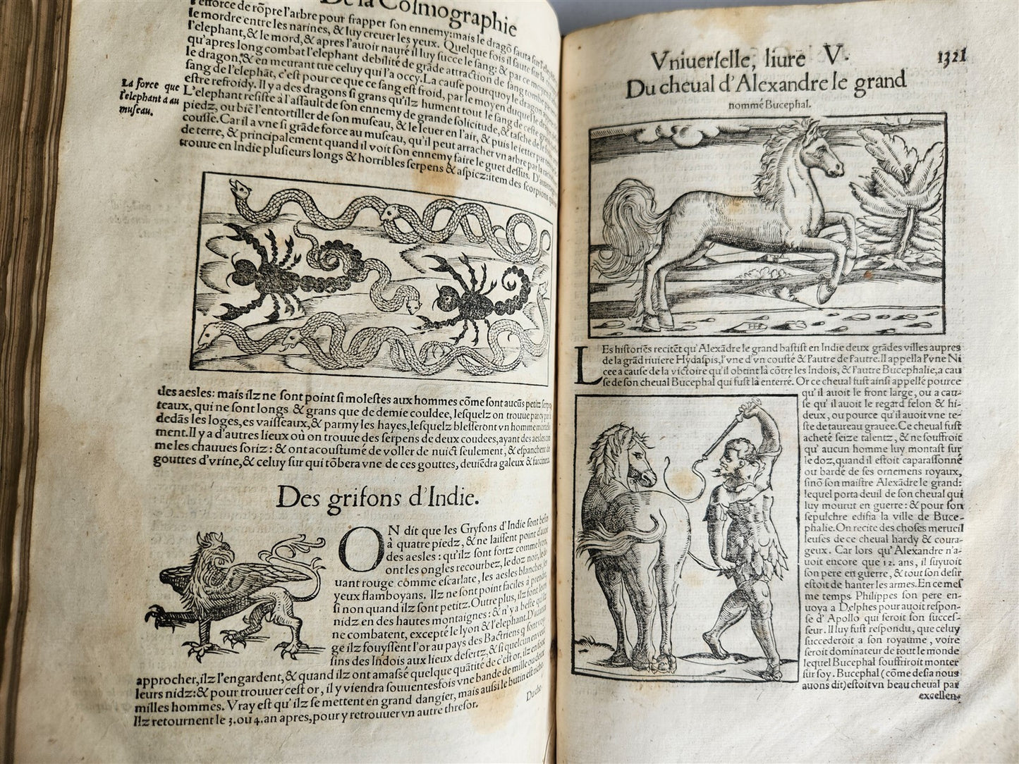 1556 COSMOGRAPHY by Sebastian Munster antique RARE ILLUSTRATED 16th cent. FOLIO