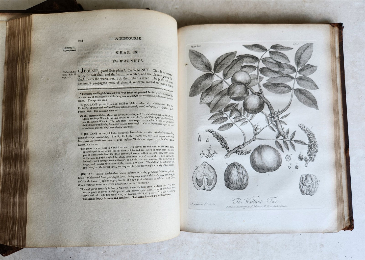 1801 SILVA: DISCOURSE OF FOREST TREES 2 VOLUMES ILLUSTRATED antique in ENGLISH
