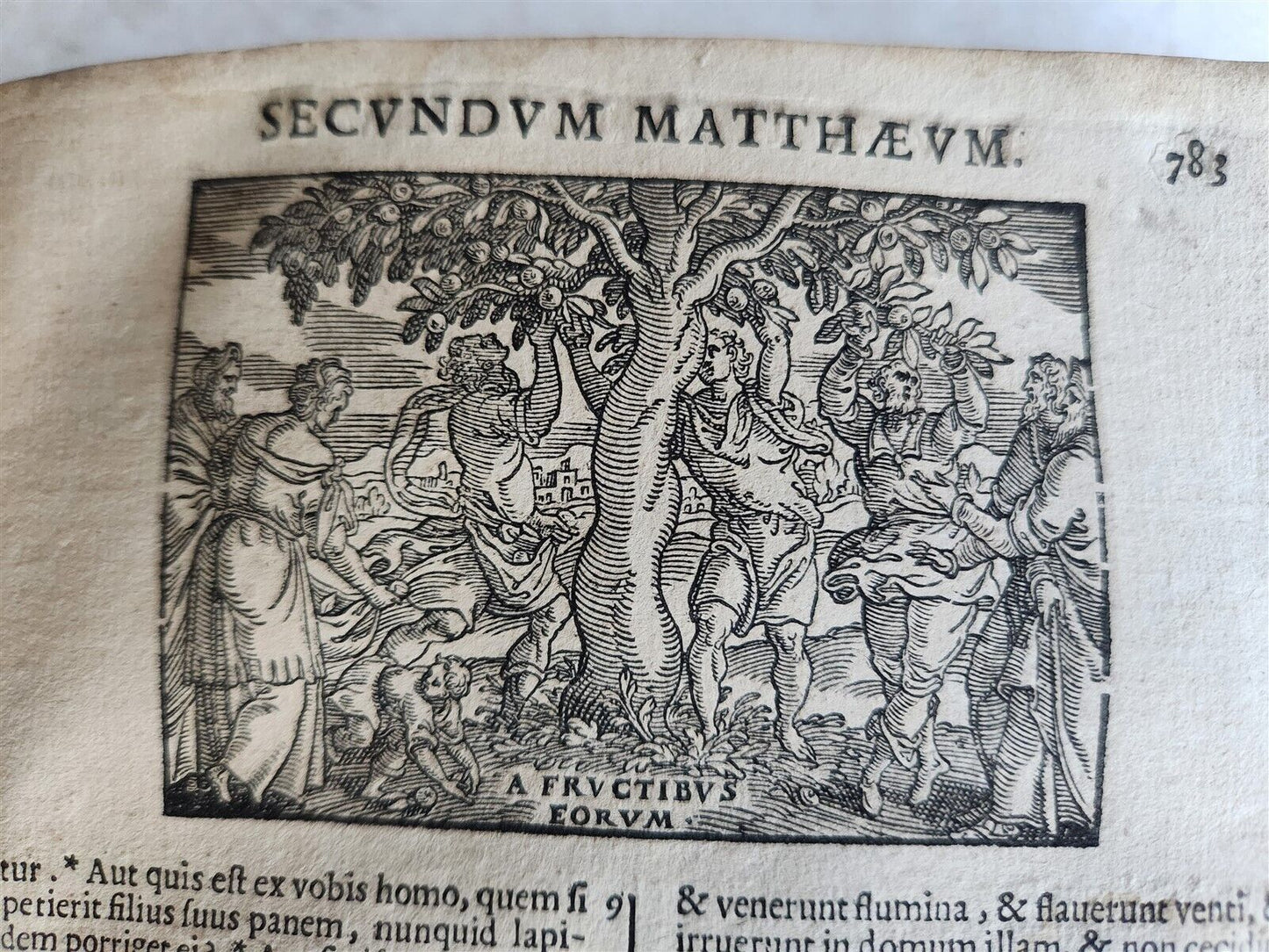 1697 BIBLE ILLUSTRATED antique VELLUM BOUND in LATIN BIBLIA SACRA