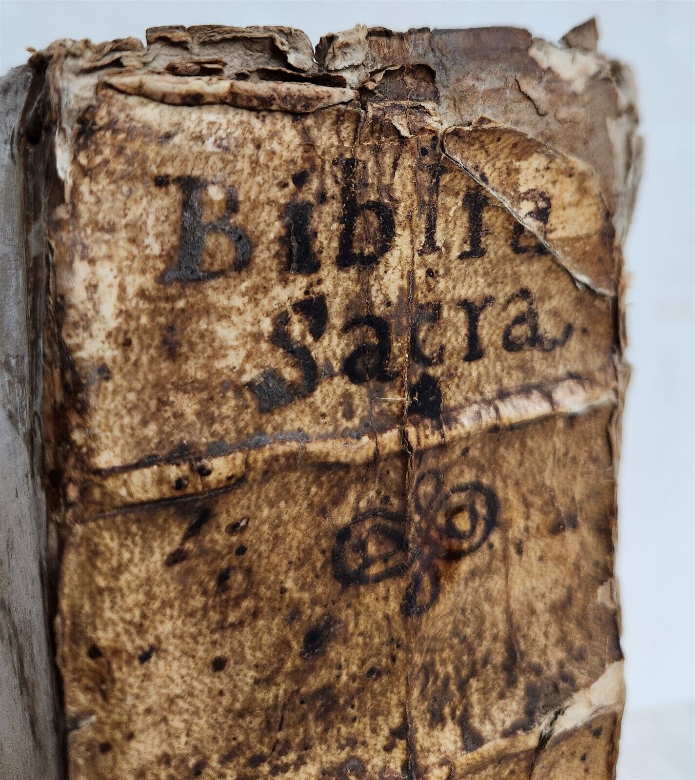 1697 BIBLE ILLUSTRATED antique VELLUM BOUND in LATIN BIBLIA SACRA