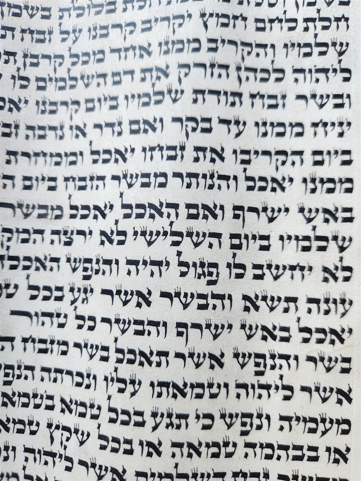 TORAH SCROLL FRAGMENT MANUSCRIPT on VELLUM antique BIBLE LEVITICUS 7:4-7:27